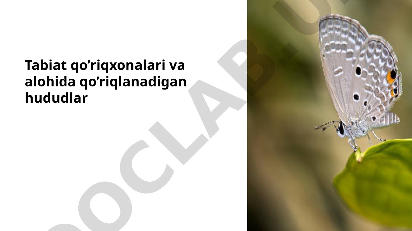 Tabiat qo'riqxonalari va alohida qo'riqlanadigan hududlar