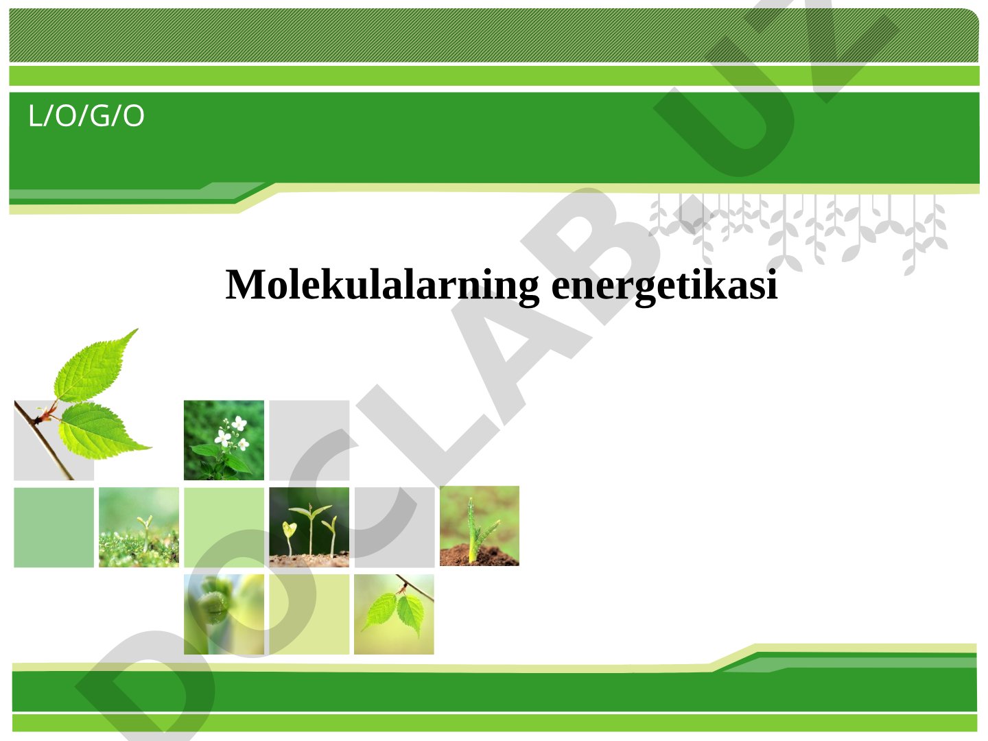 Molekulalarning energetikasi