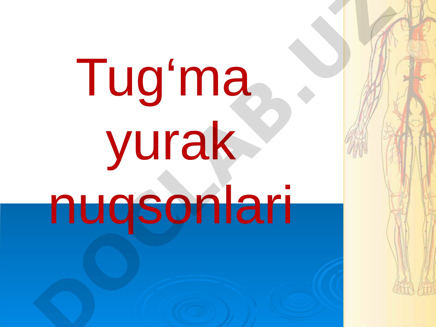 Tug‘ma yurak nuqsonlari Tarqalganligi