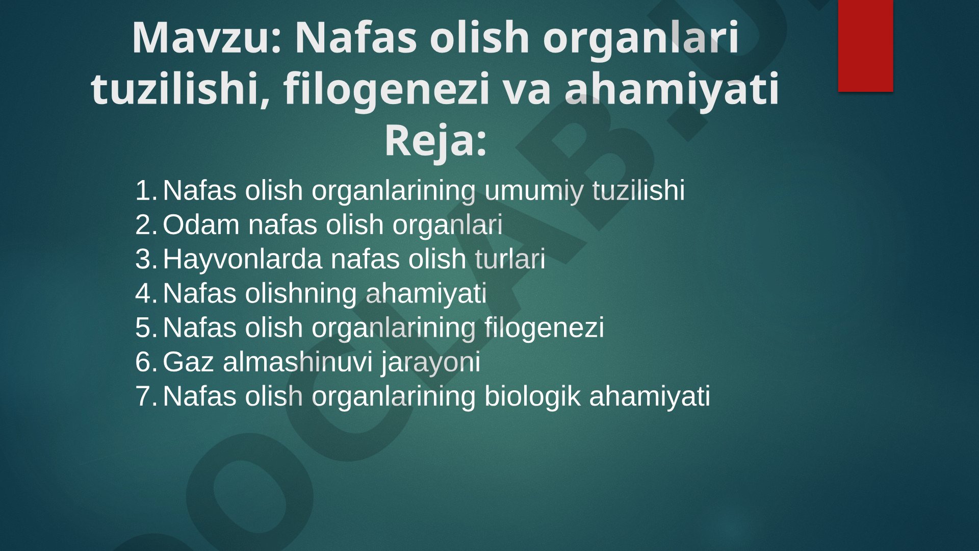 Nafas olish organlari tuzilishi, filogenezi va ahamiyati