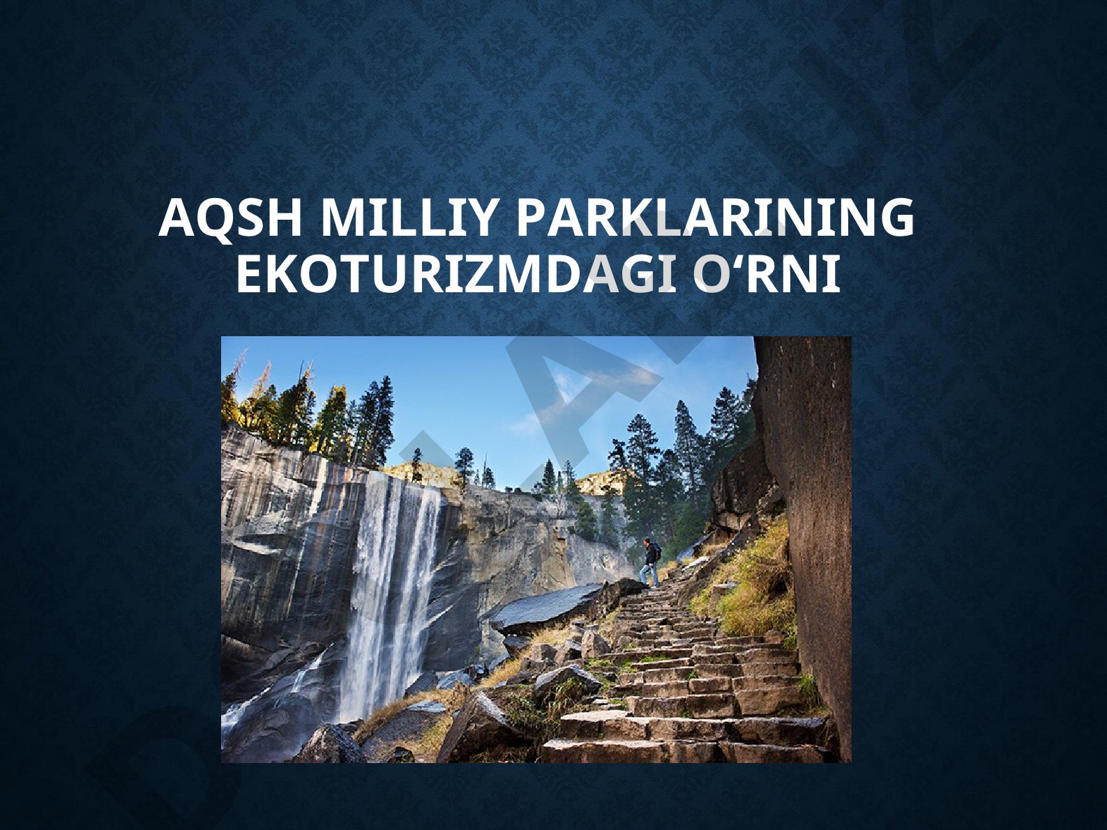 AQSh milliy parklarining ekoturizmdagi o'rni