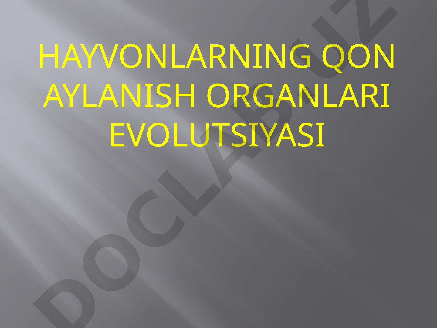 Hayvonlarning qon aylanish organlari evolutsiyasi