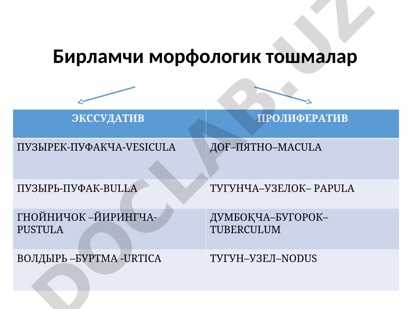 Бирламчи морфологик тошмалар турлари