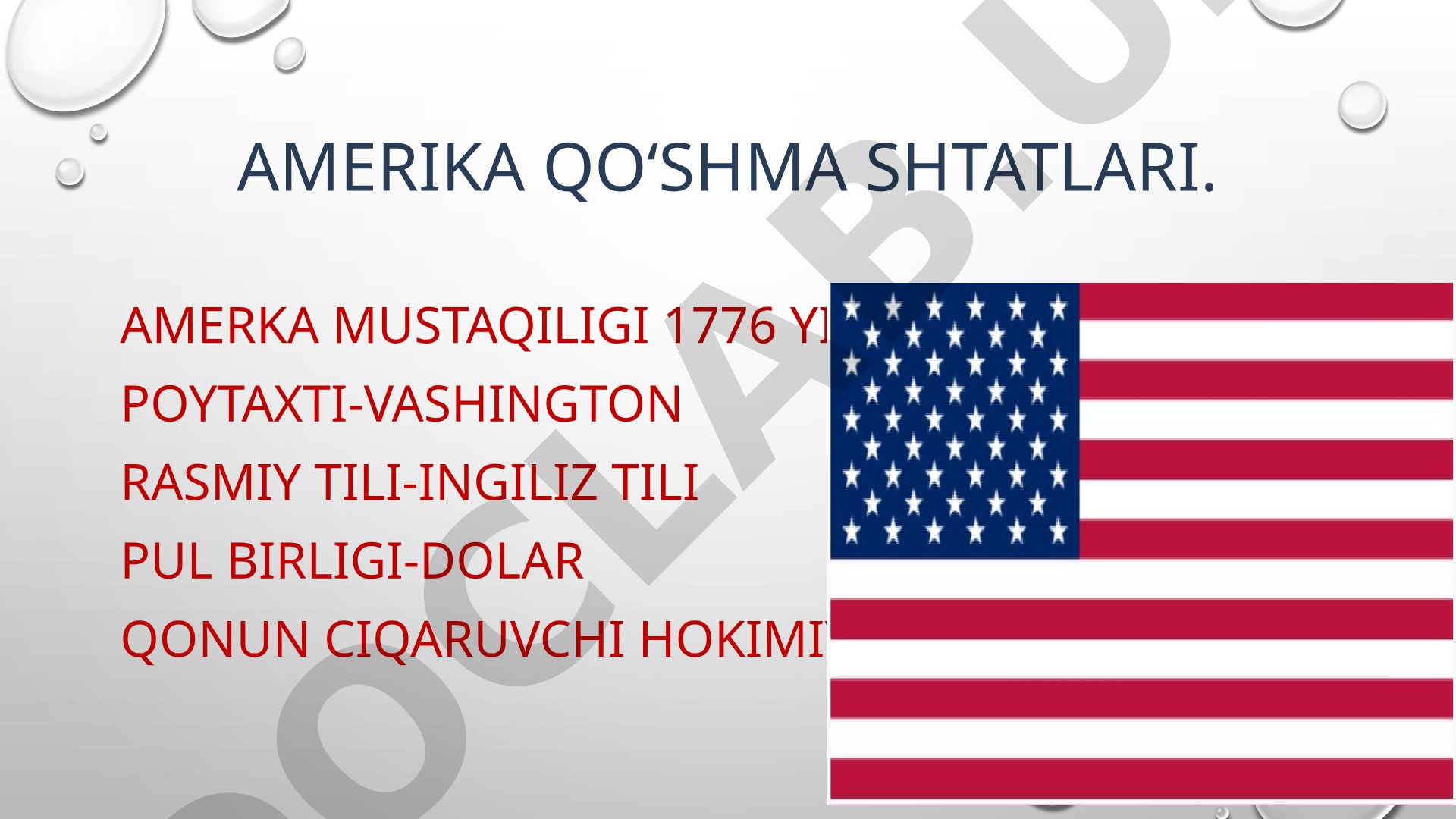 Amerika Qo'shma Shtatlari haqida umumiy ma'lumot