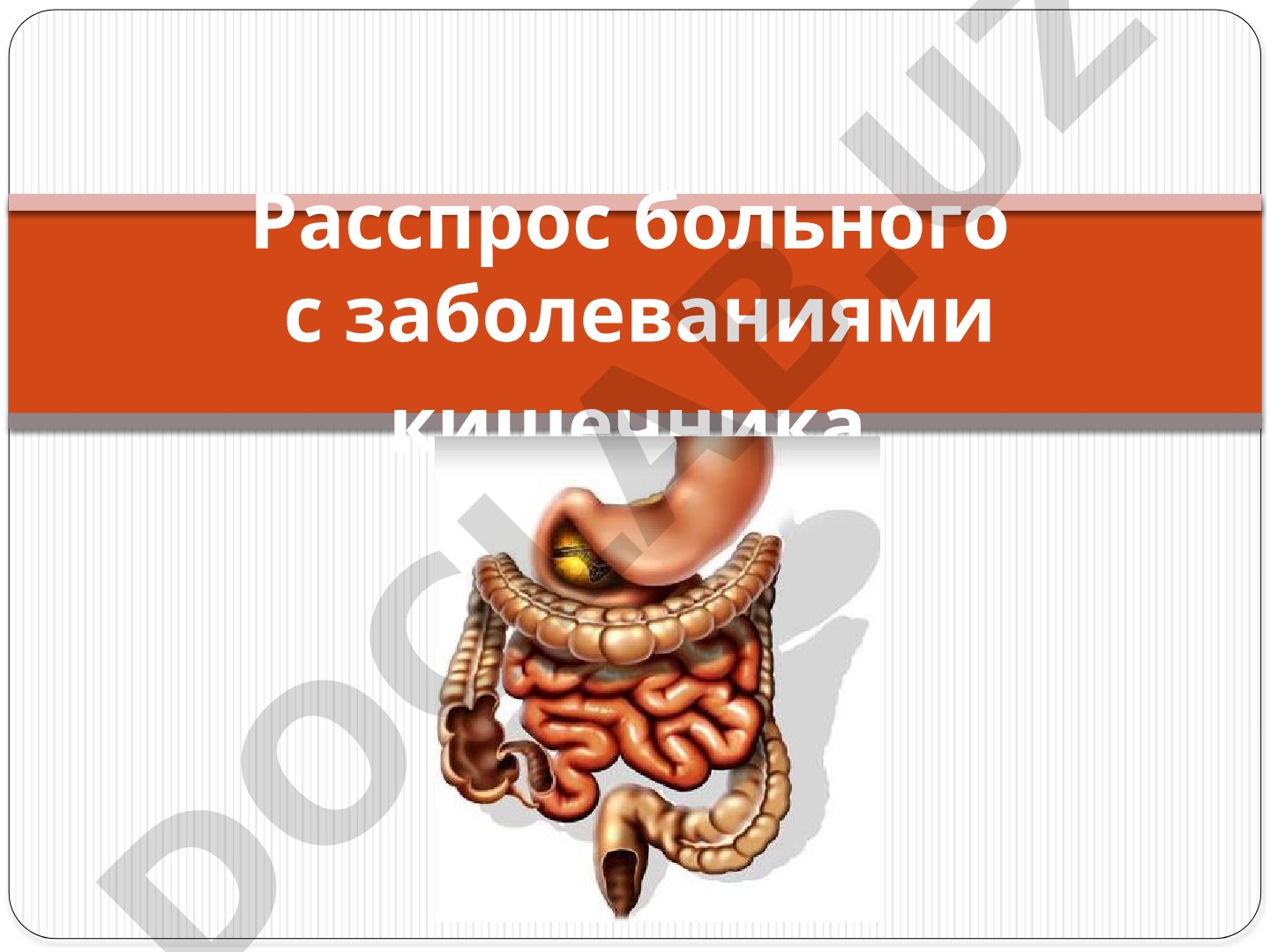 Расспрос больного с заболеваниями кишечника