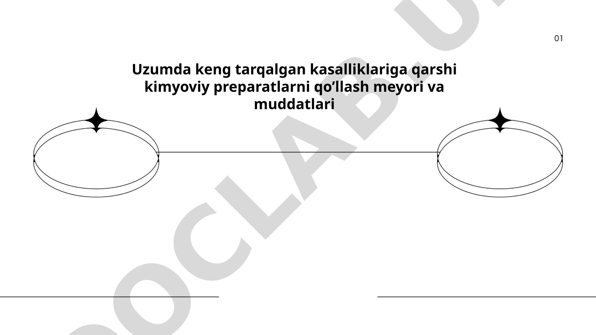 Uzumda keng tarqalgan kasalliklariga qarshi kimyoviy preparatlarni qo'llash meyori va muddatlari