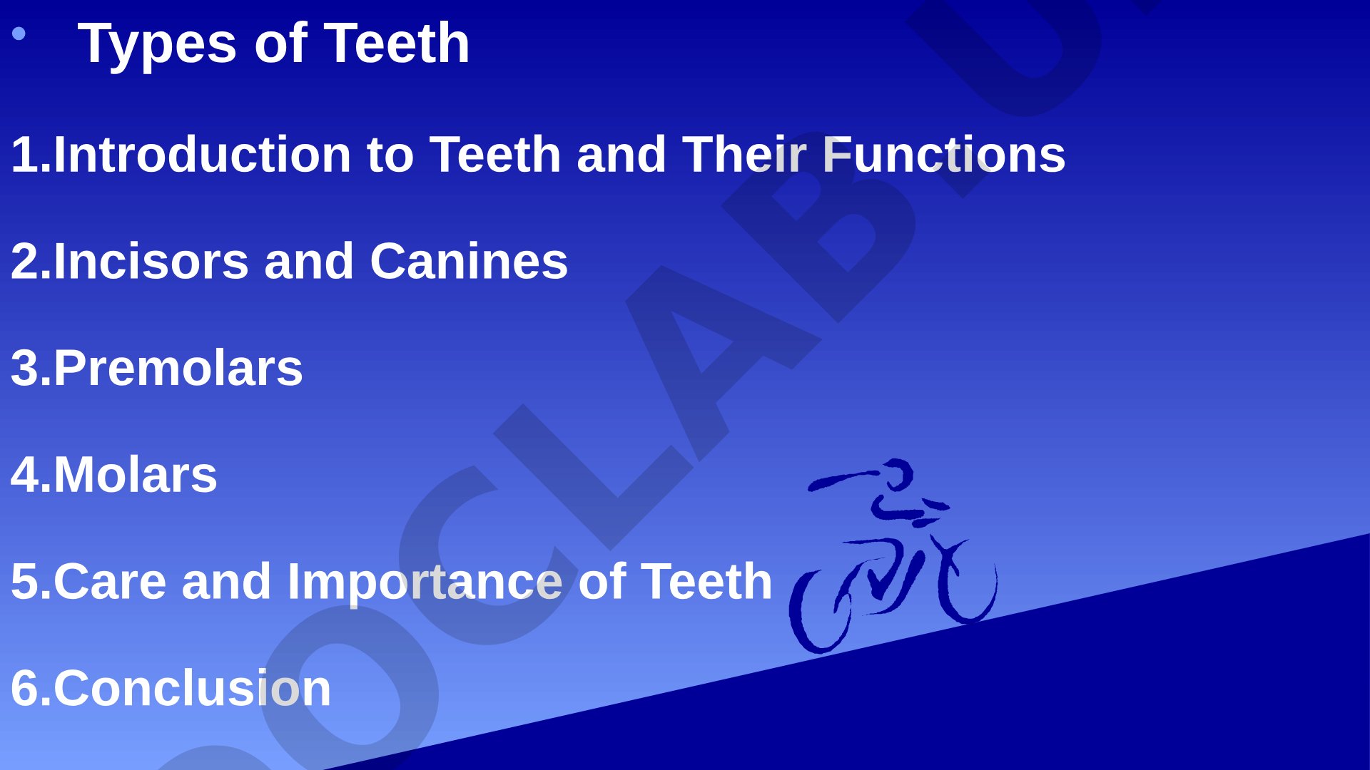 Types of Teeth and Their Functions