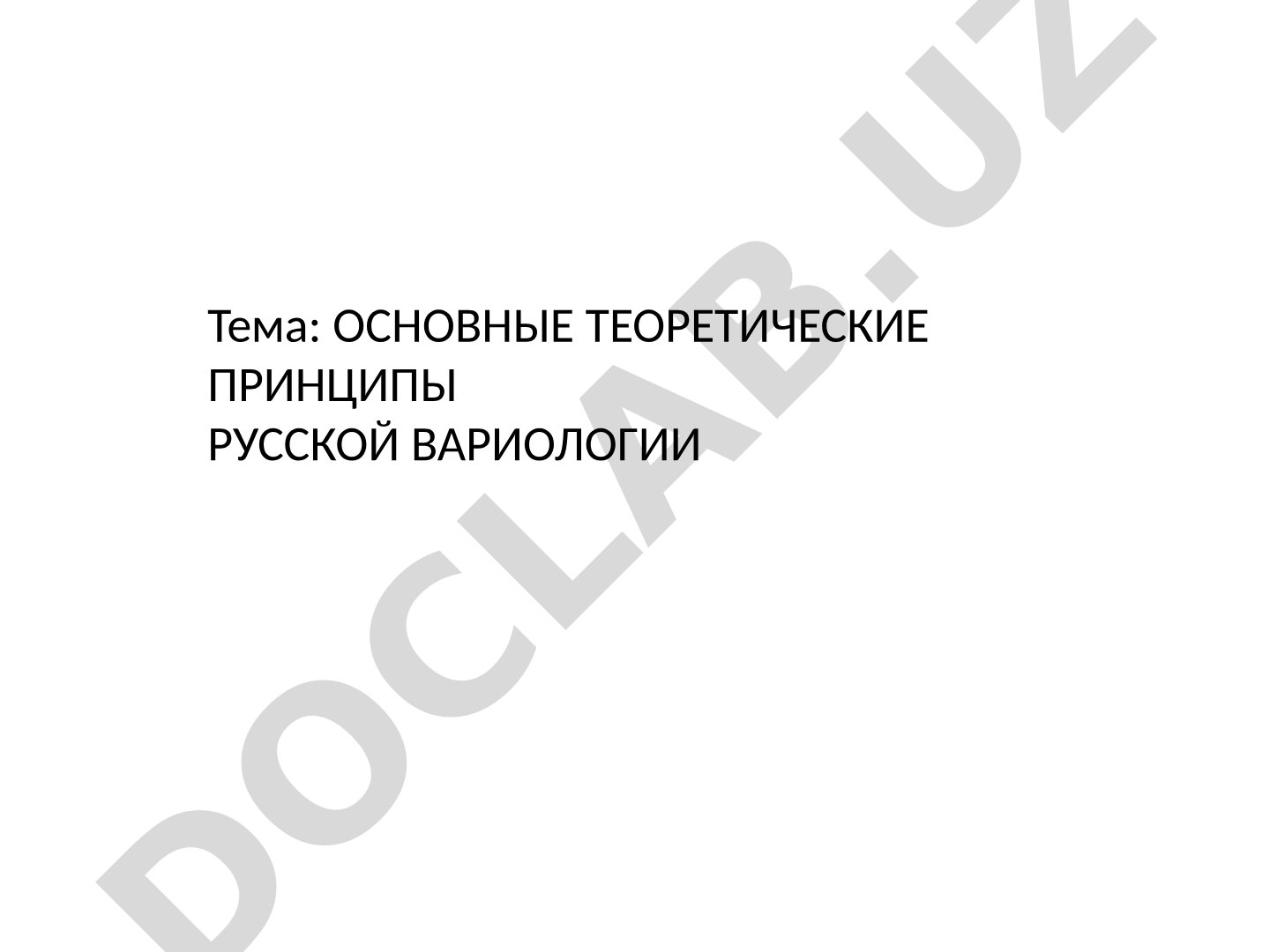 Основные теоретические принципы русской вариологии
