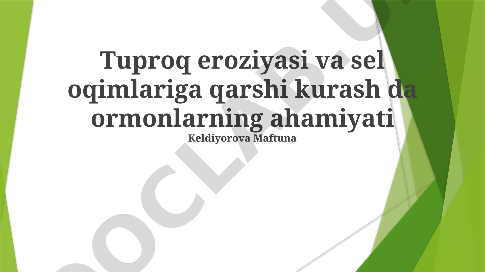 Tuproq eroziyasi va sel oqimlariga qarshi kurashda o'rmonlarning ahamiyati