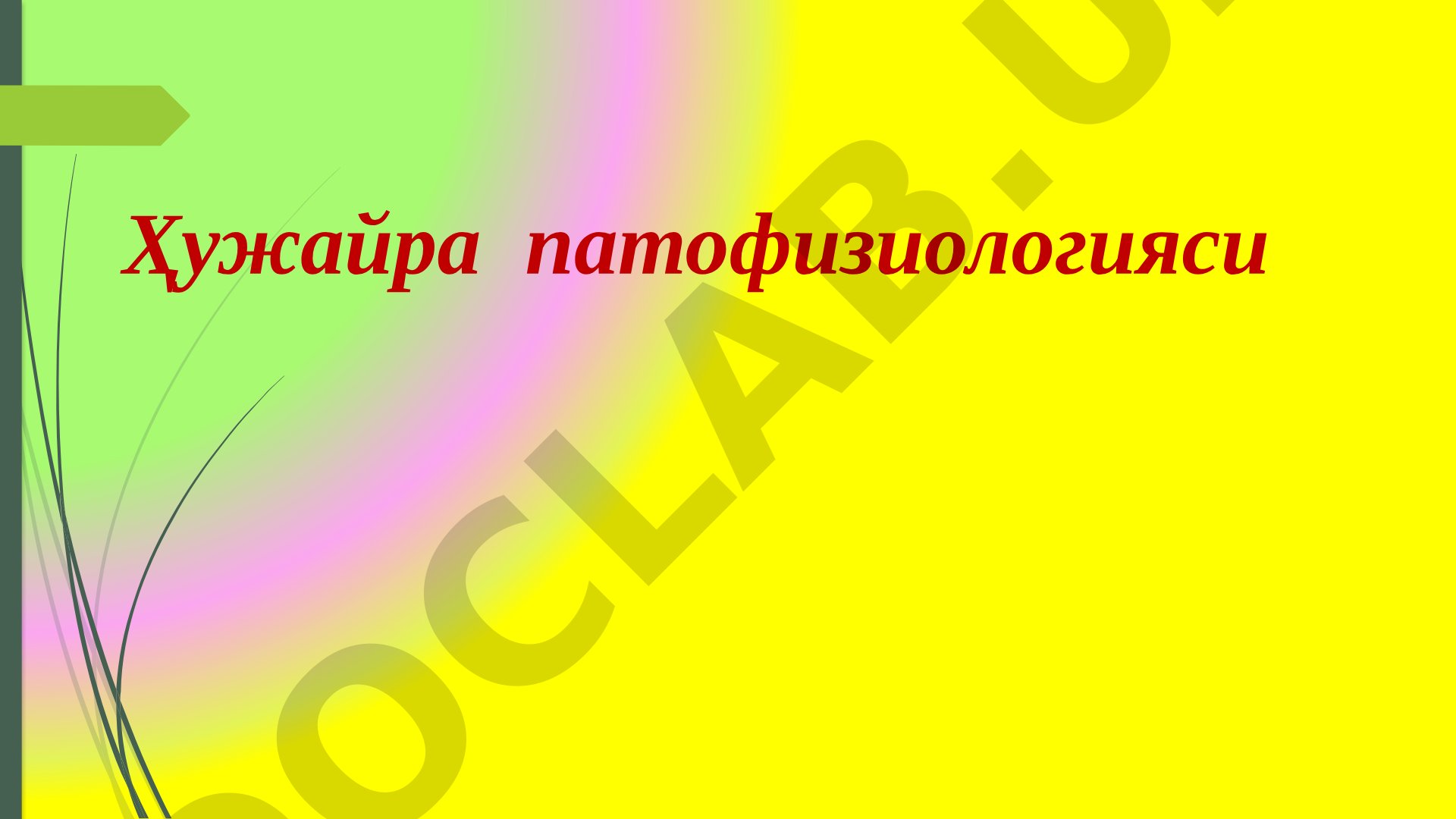 Ҳужайра патофизиологияси дарс хронологик картаси