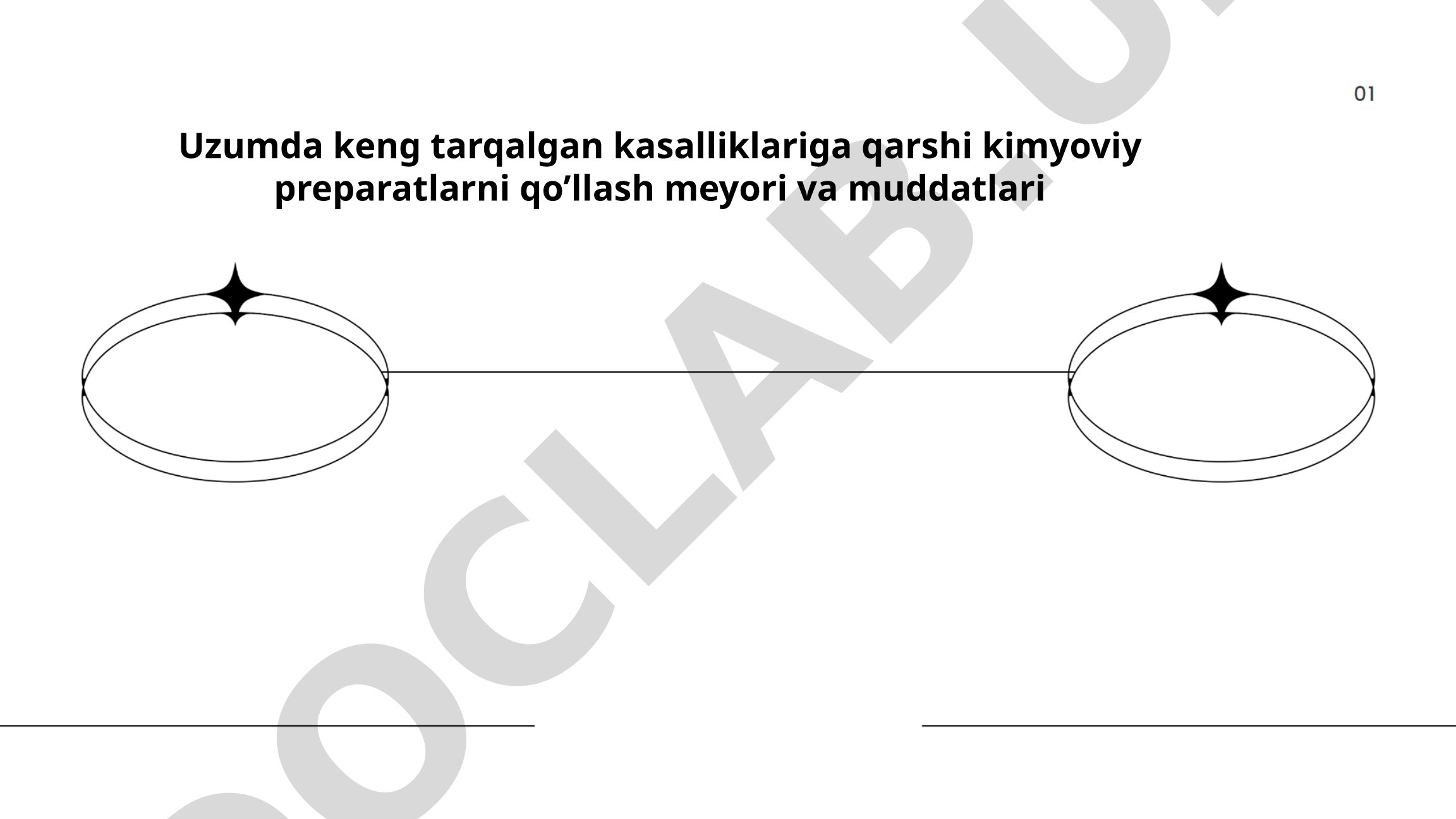 Uzumda keng tarqalgan kasalliklariga qarshi kimyoviy preparatlarni qo’llash meyori va muddatlari