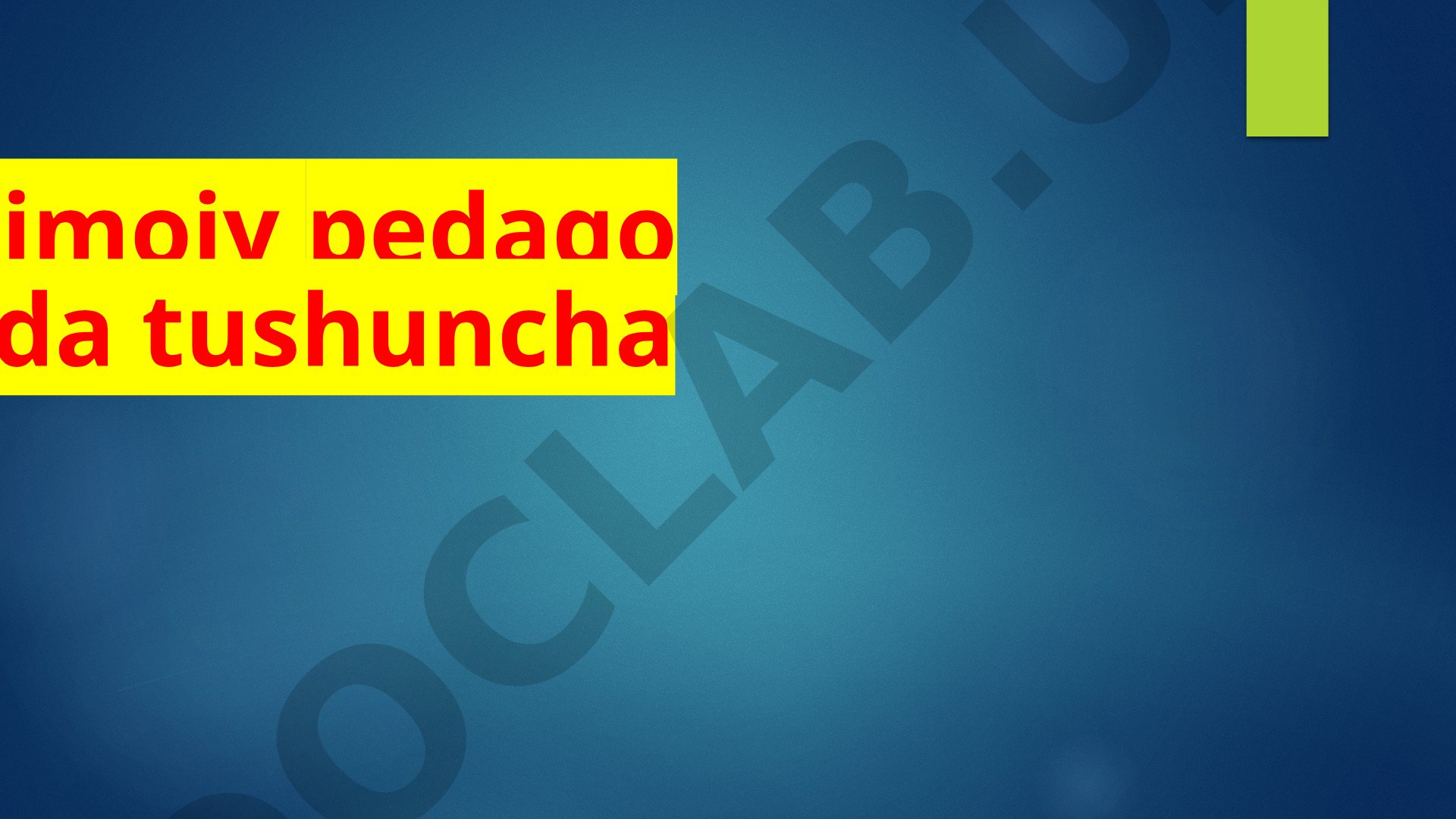 Ijtimoiy pedagogika haqida tushuncha