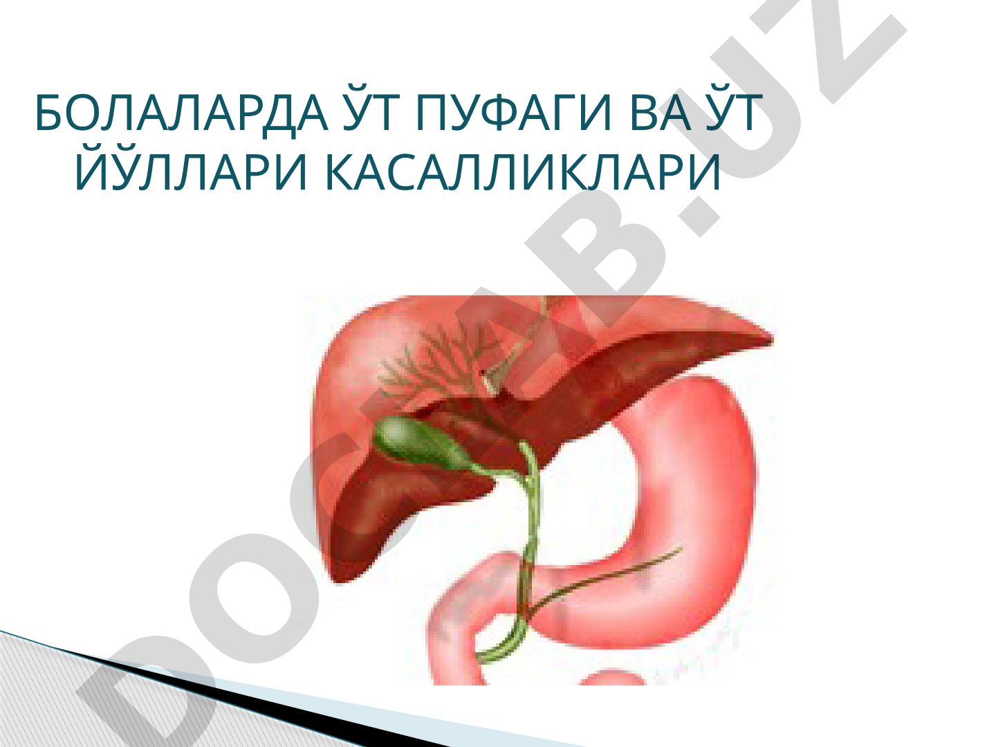 Болаларда Ўт пуфаги ва Ўт Йўллари касалликлари
