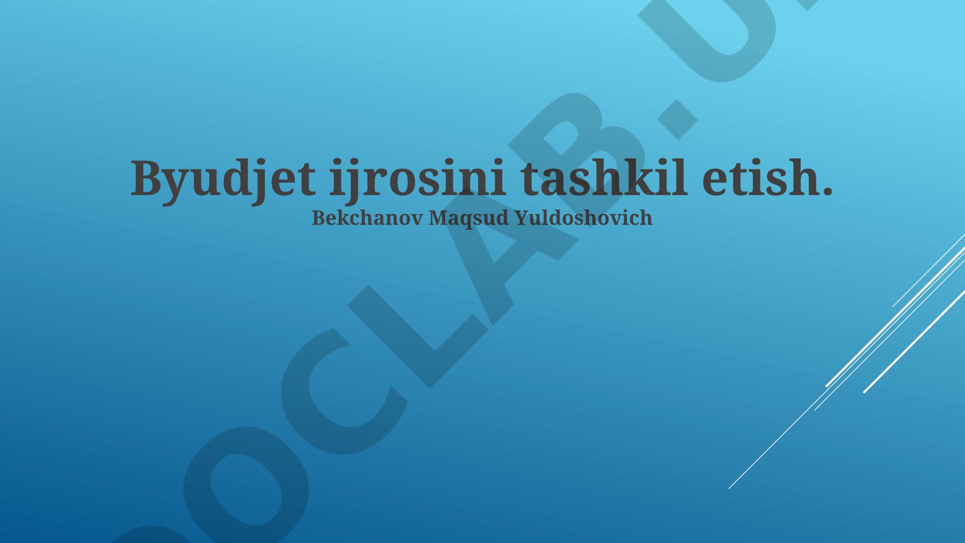 Byudjet ijrosini tashkil etish