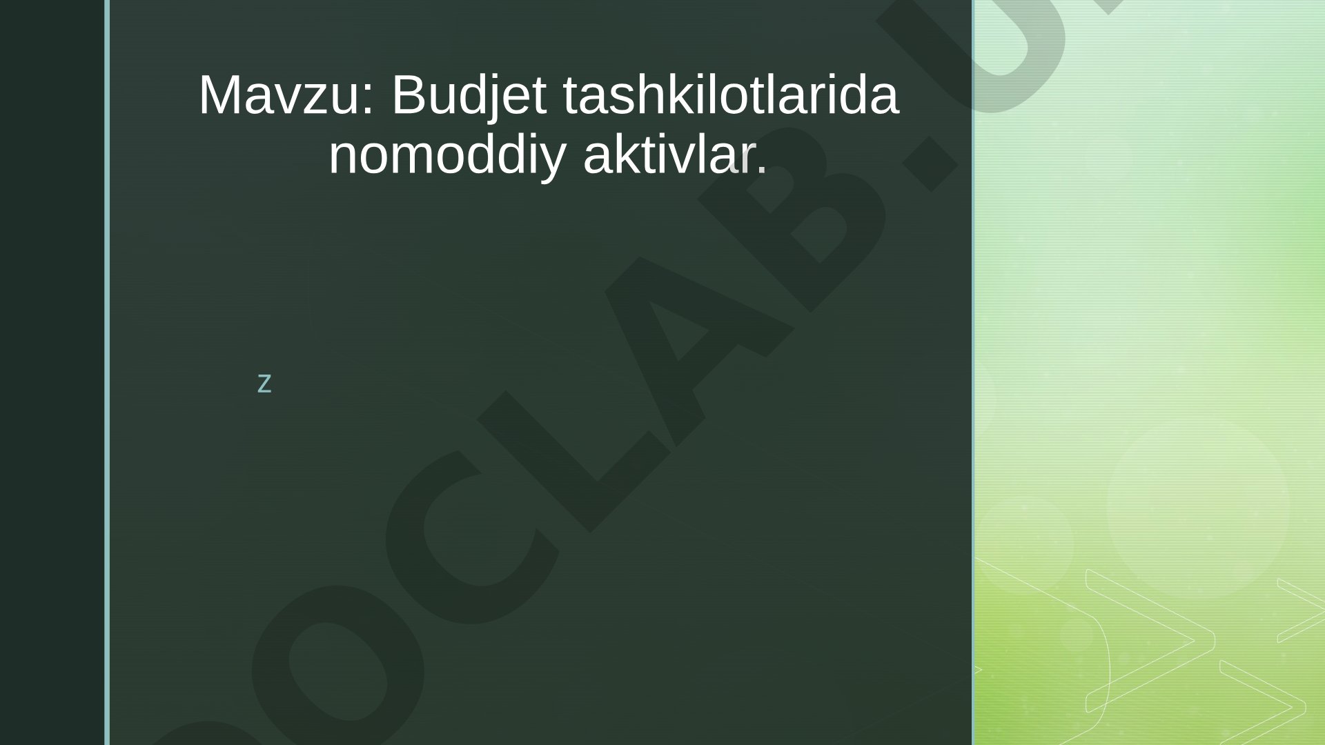 Budjet tashkilotlarida nomoddiy aktivlar