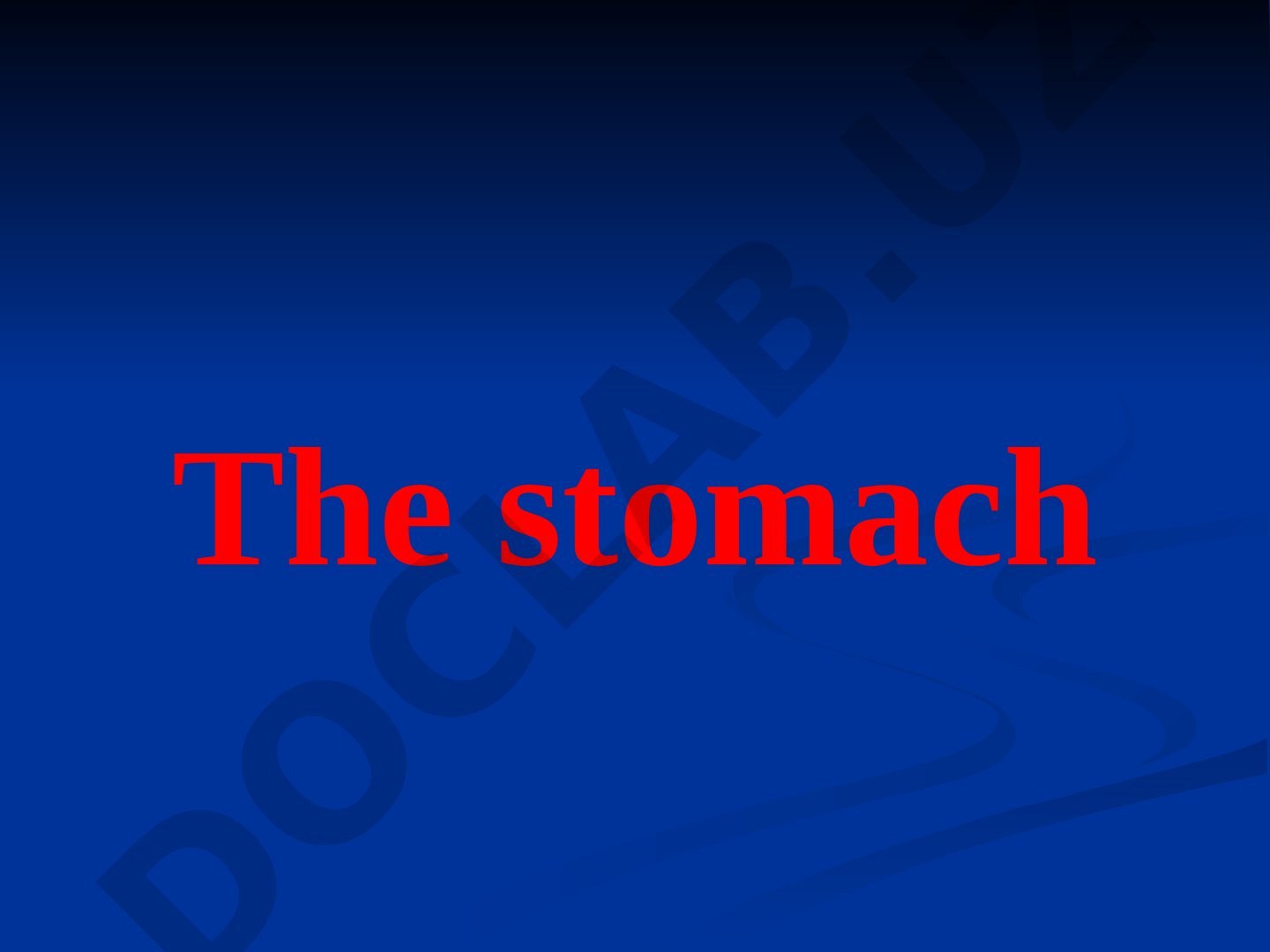 The stomach: anatomy, histology, and gastric secretion mechanism