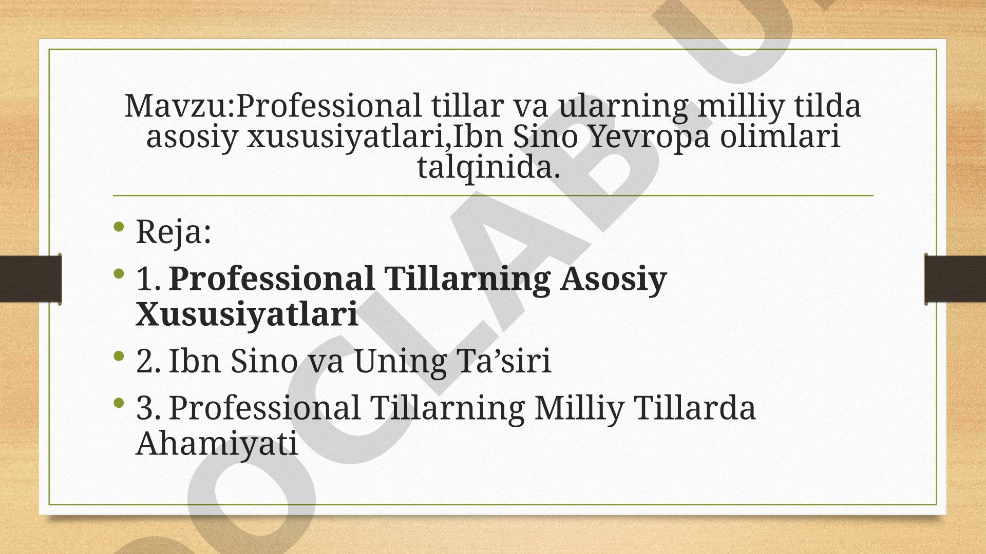 Professional tillar va ularning milliy tilda asosiy xususiyatlari, Ibn Sino Yevropa olimlari talqinida