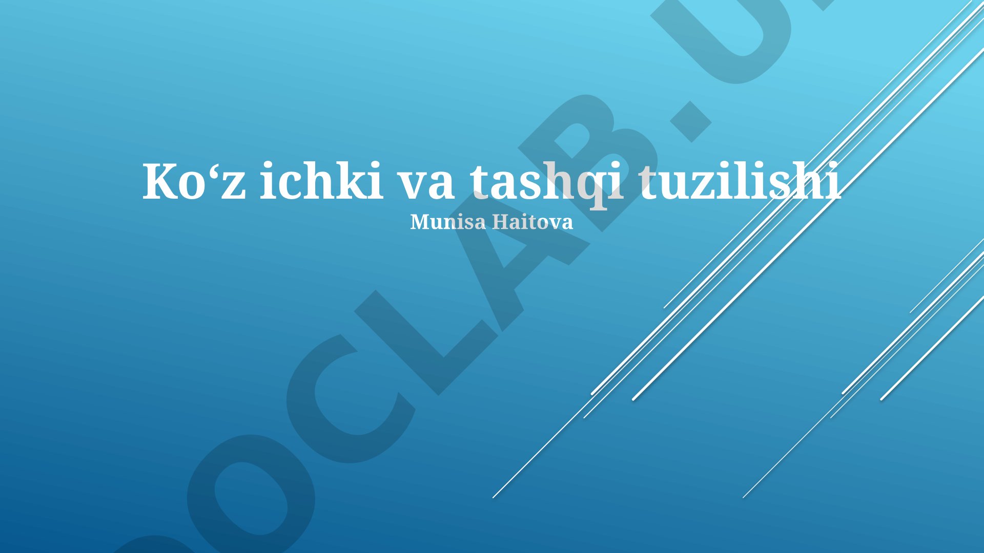 Ko'z ichki va tashqi tuzilishi