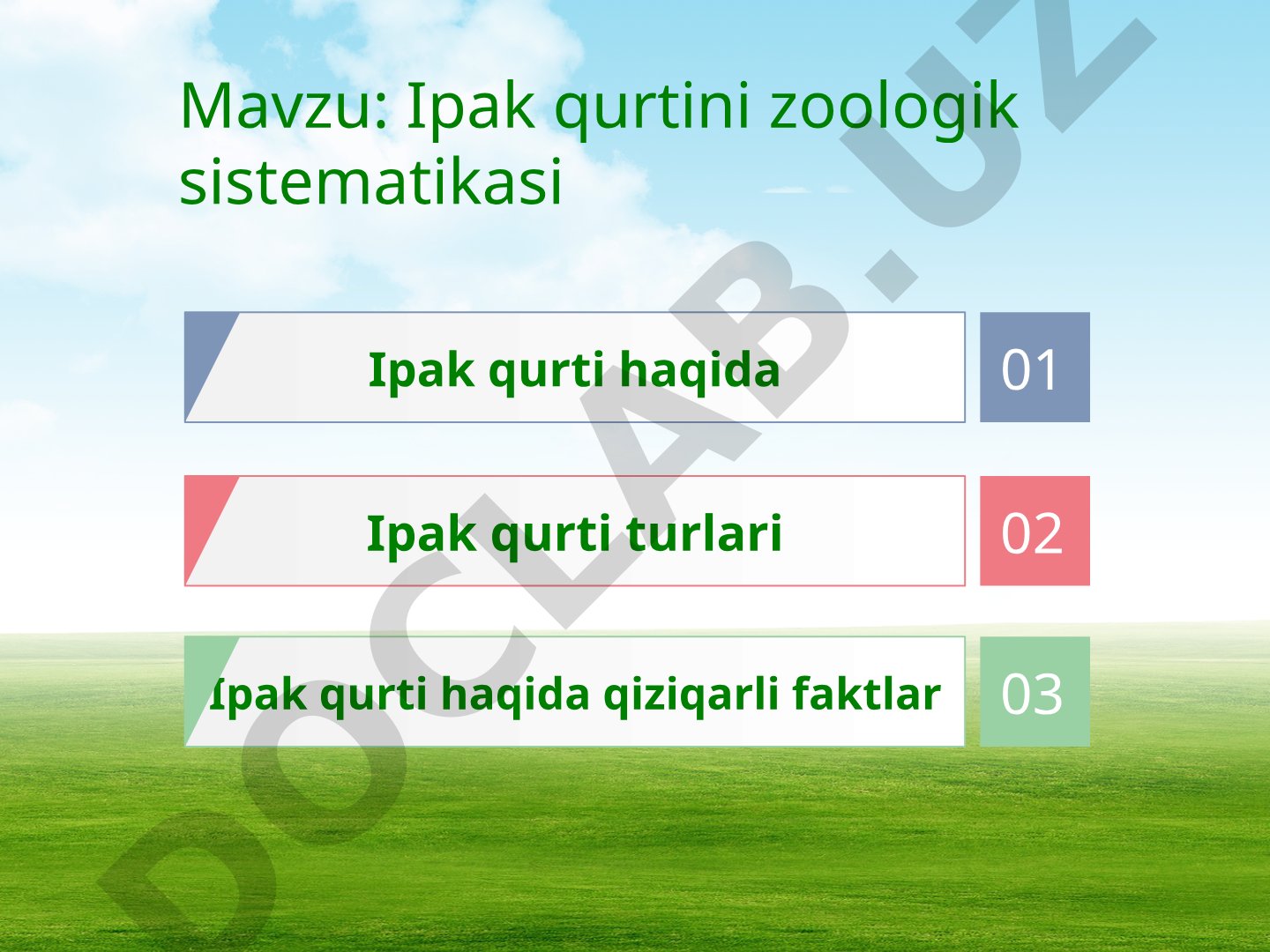Ipak qurtini zoologik sistematikasi