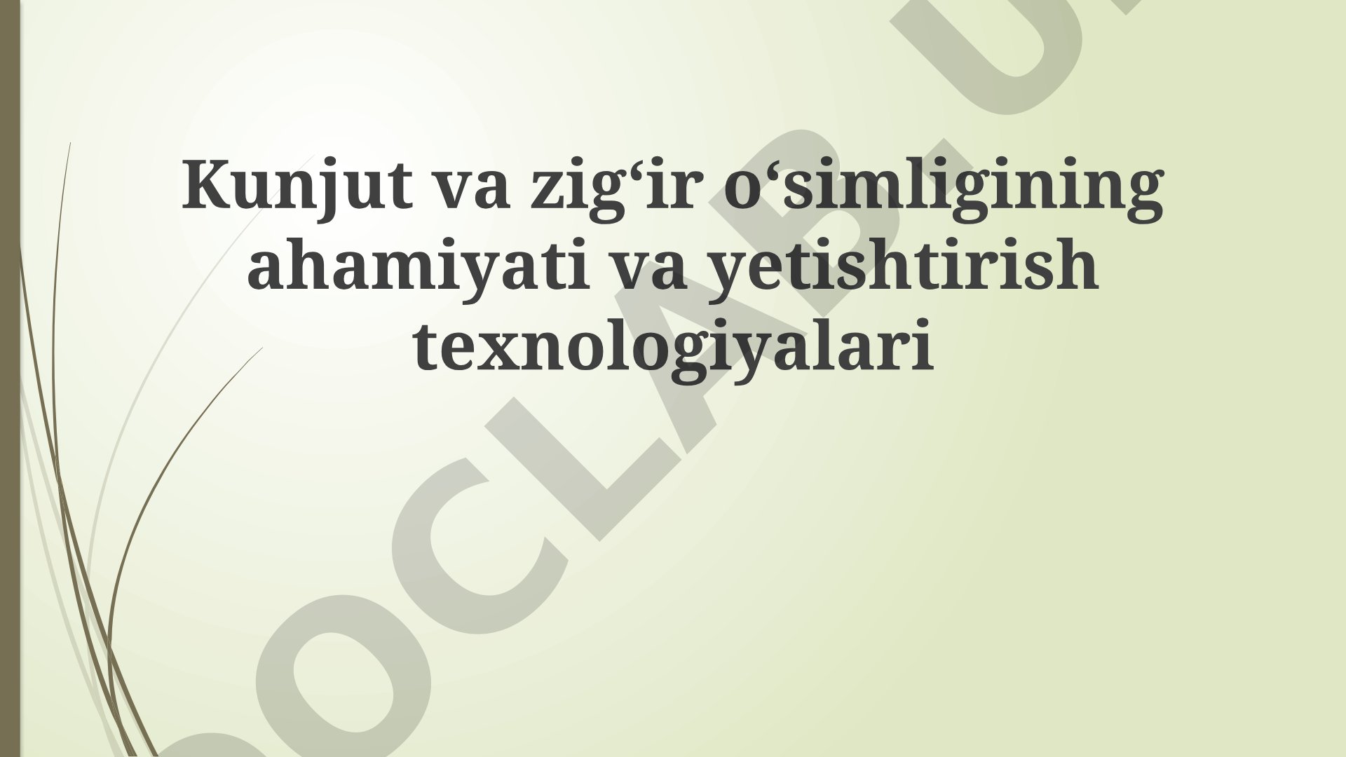 Kunjut va zig‘ir o‘simligining ahamiyati va yetishtirish texnologiyalari