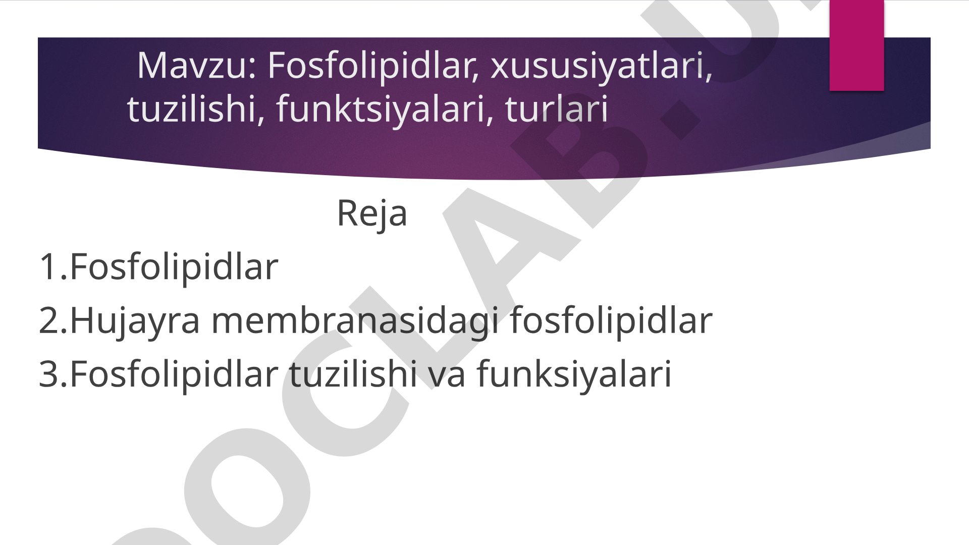 Fosfolipidlar, xususiyatlari, tuzilishi, funktsiyalari, turlari