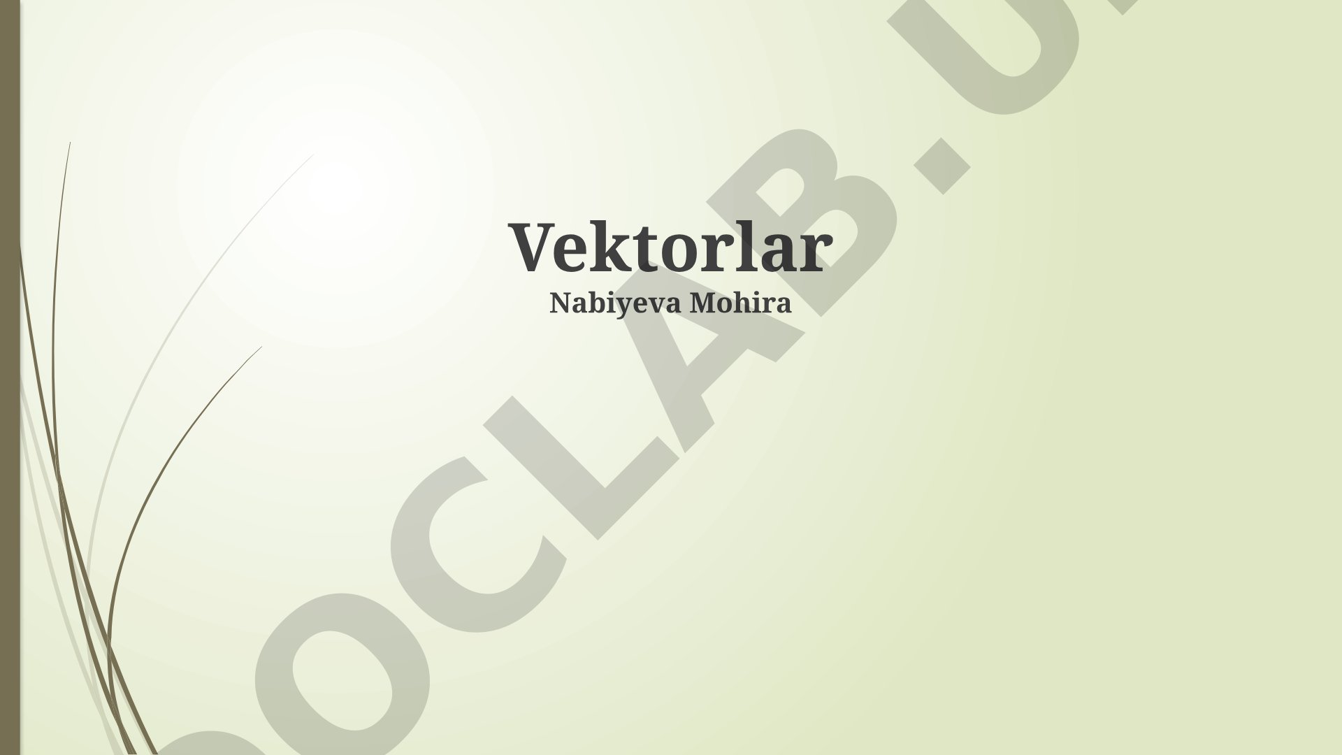 Vektorlar nazariyasi va amallar