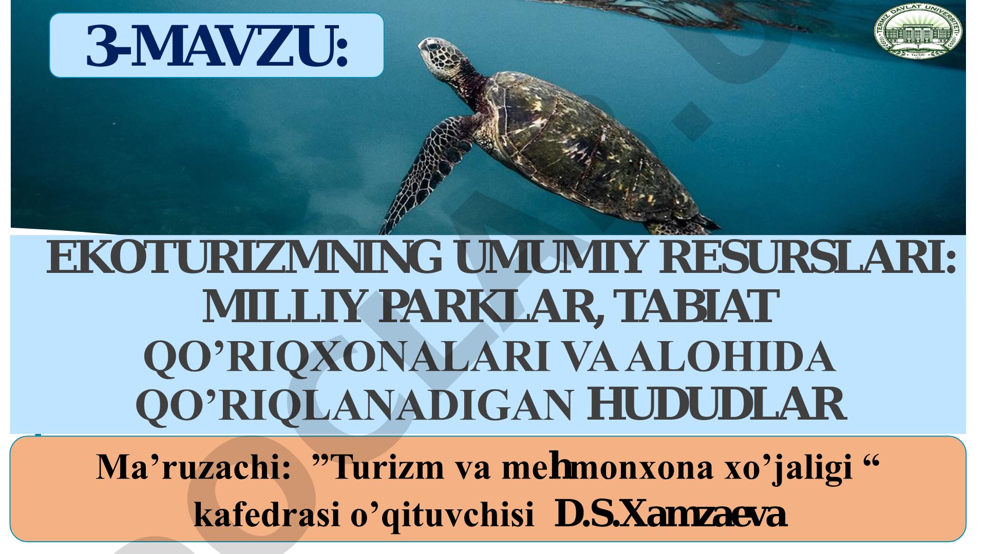 Ekoturizmning umumiy resurslari: milliy parklar, tabiat qo'riqxonalari va alohida qo'riqlanadigan hududlar