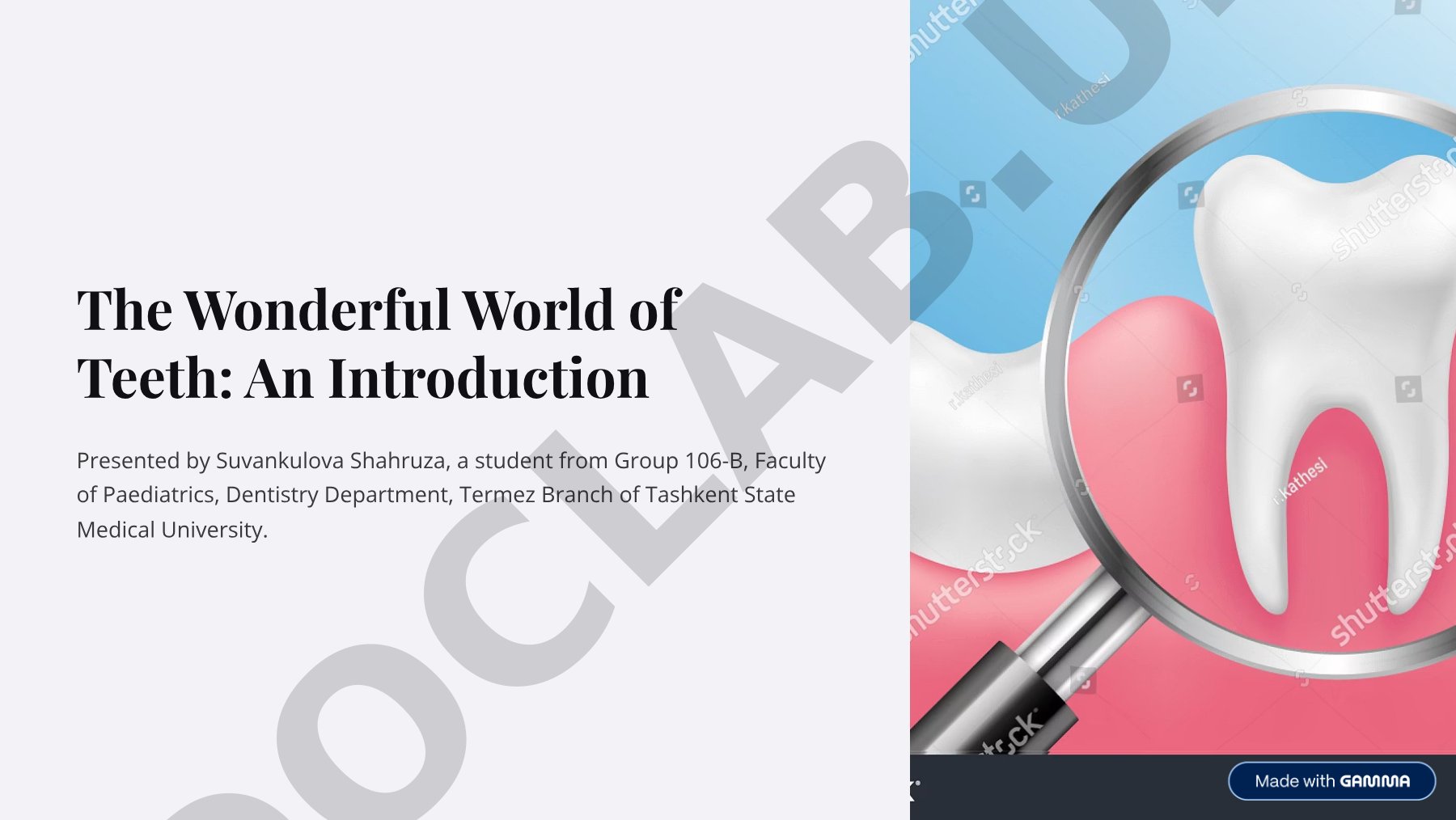 The World of Teeth: An Introduction