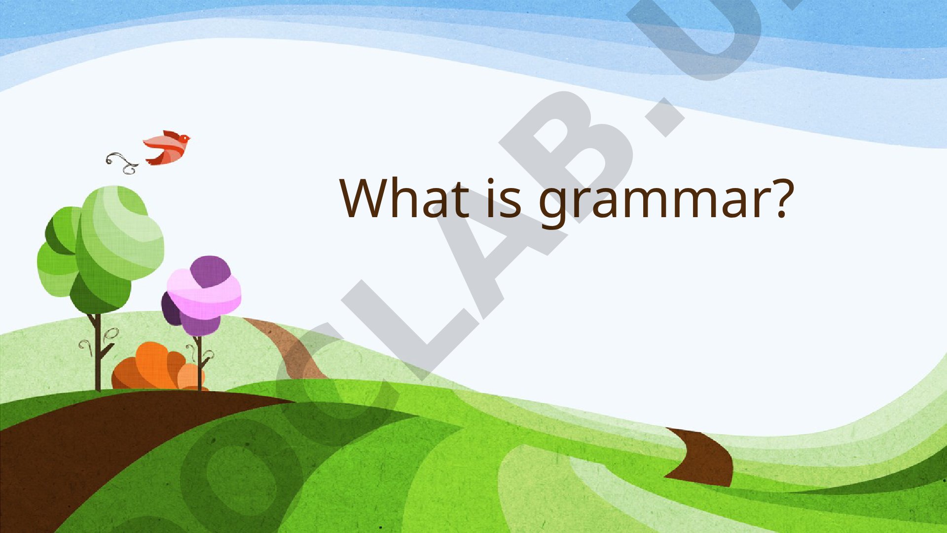 What is grammar?