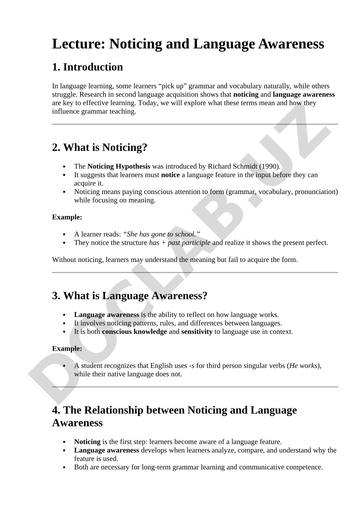 Noticing and Language Awareness