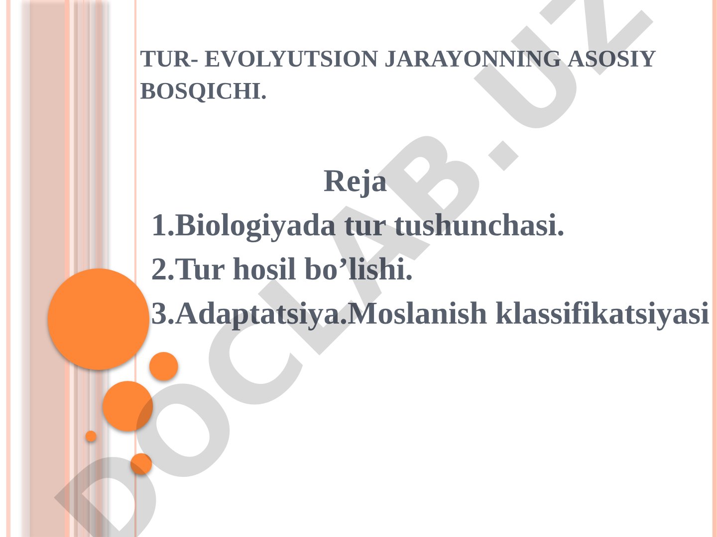 Tur evolyutsion jarayonning asosiy bosqichi