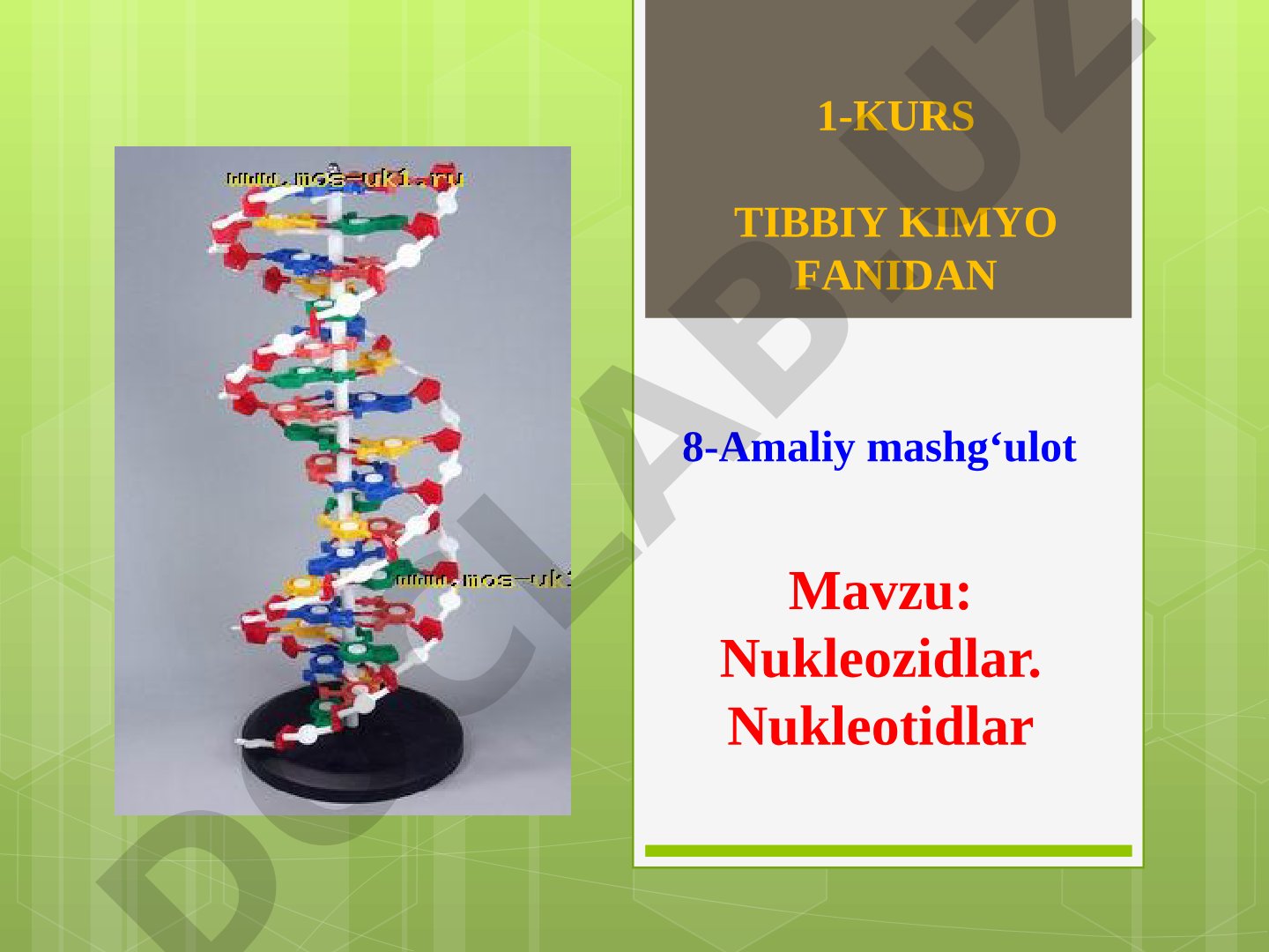 Nukleozidlar. Nukleotidlar