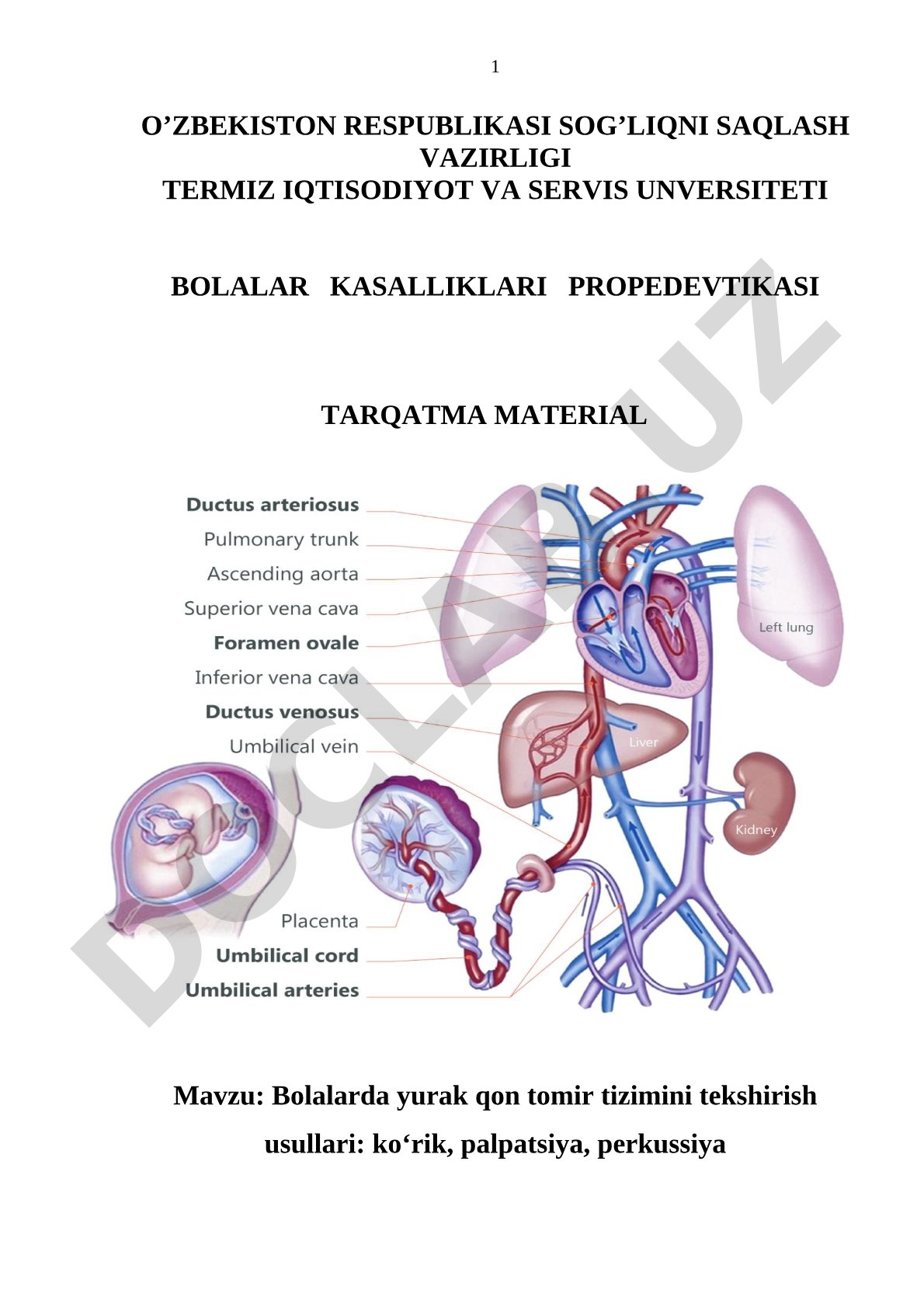 Bolalarda yurak qon tomir tizimini tekshirish usullari: ko‘rik, palpatsiya, perkussiya
