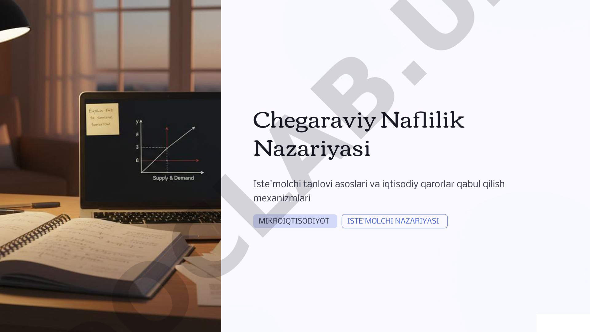 Chegaraviy naflilik nazariyasi asoslari, iste'molchi tanlovi va qaror qabul qilish