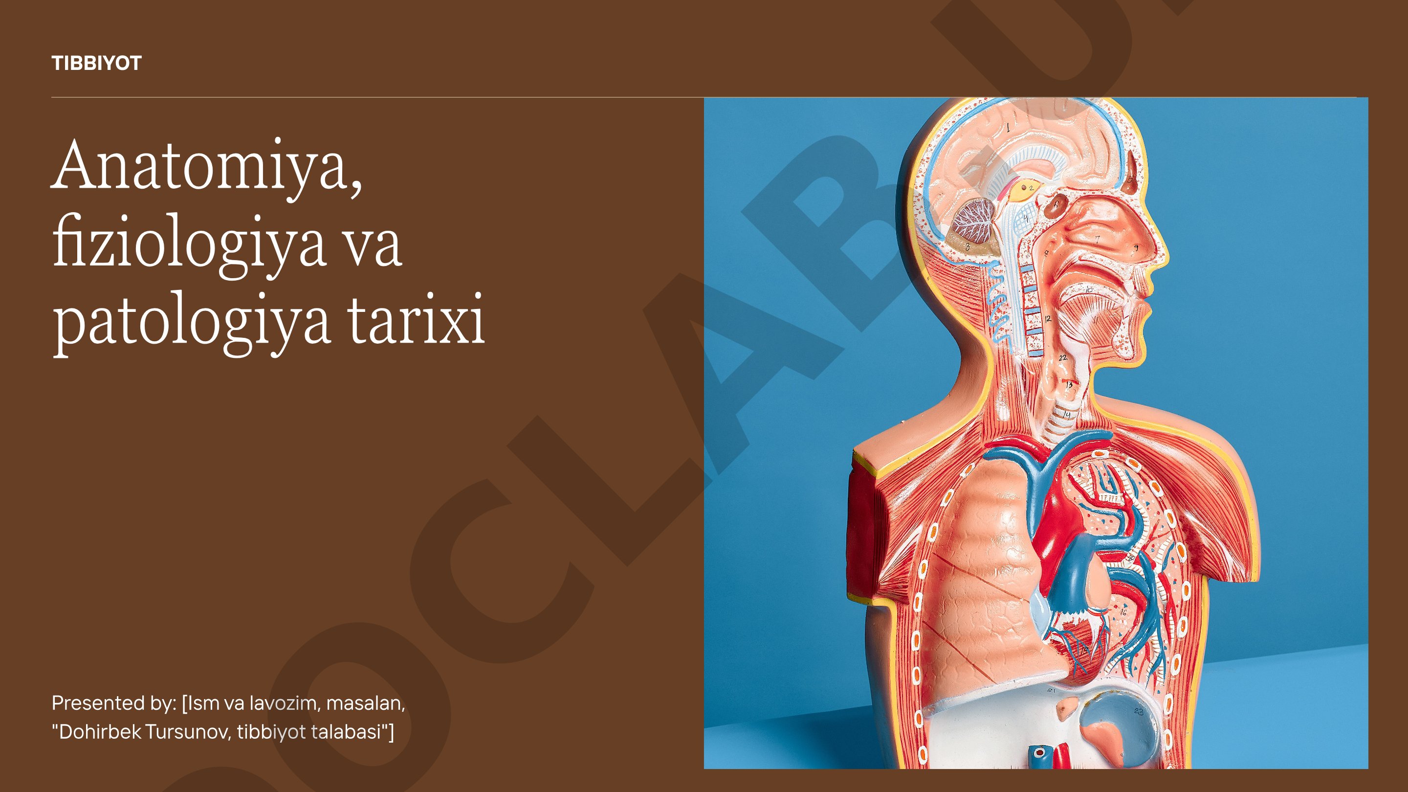 Anatomiya, fiziologiya va patologiya tarixi