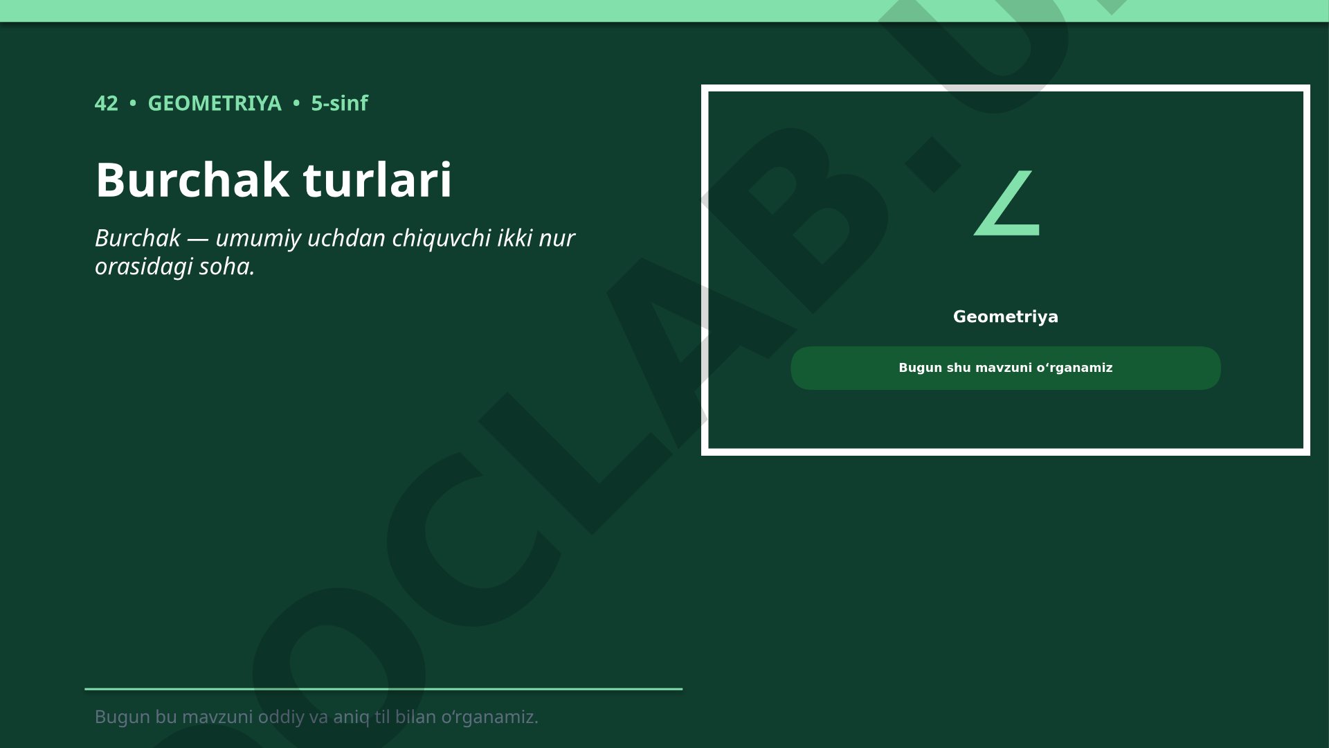 Burchak turlari