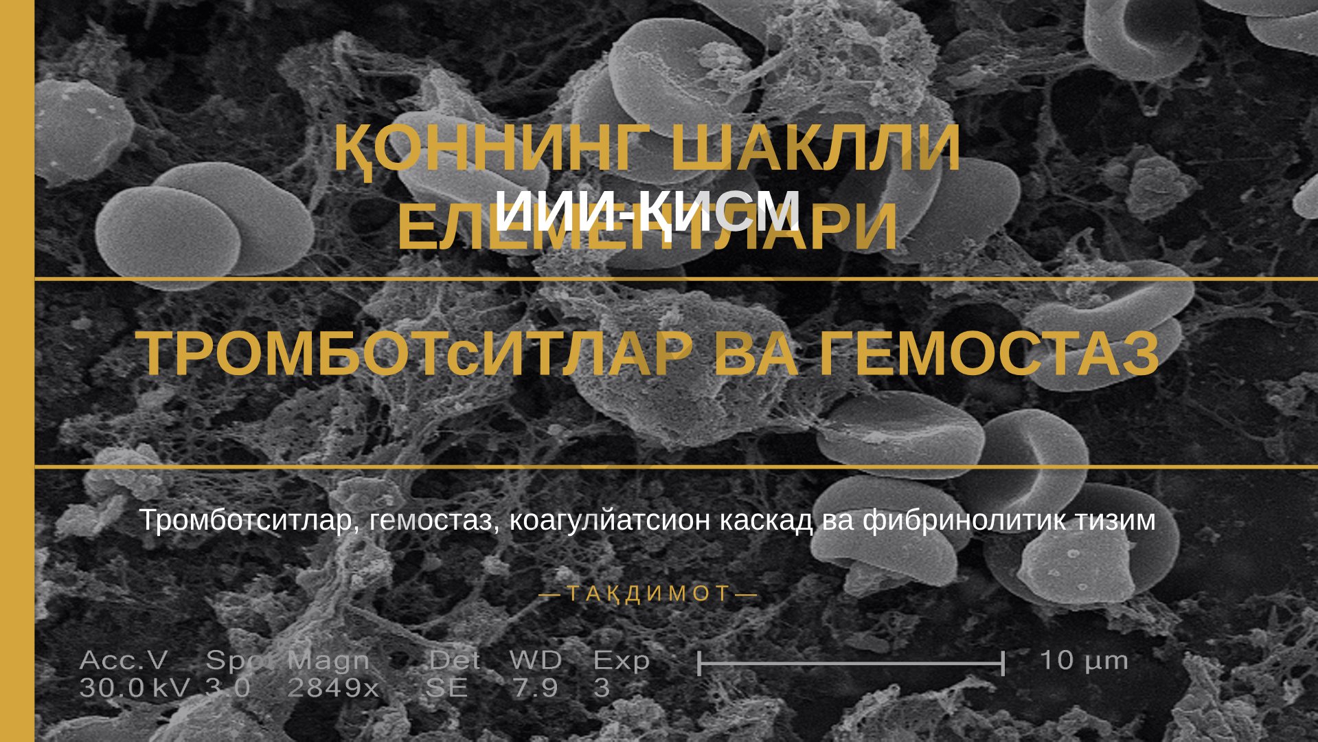 Қоннинг шаклли элементлари III-қисм: тромбоцитлар ва гемостаз