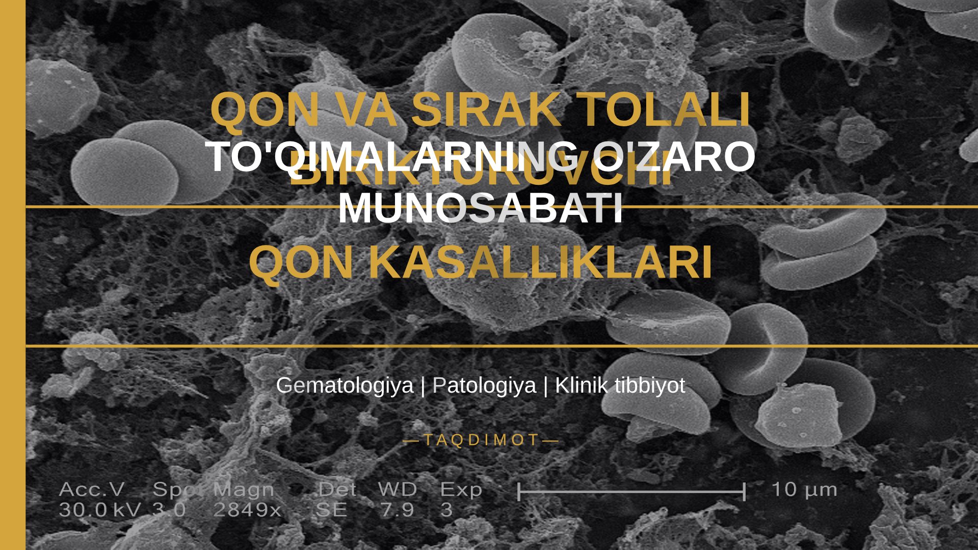 Qon va sirak tolali biriktiruvchi to'qimalarning o'zaro munosabati qon kasalliklari