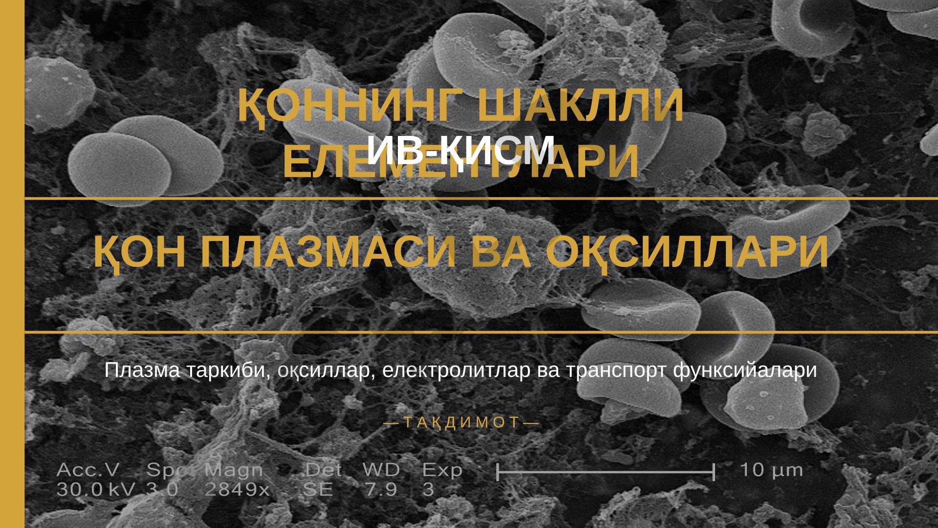 Қоннинг шаклли елементлари ва плазмаси