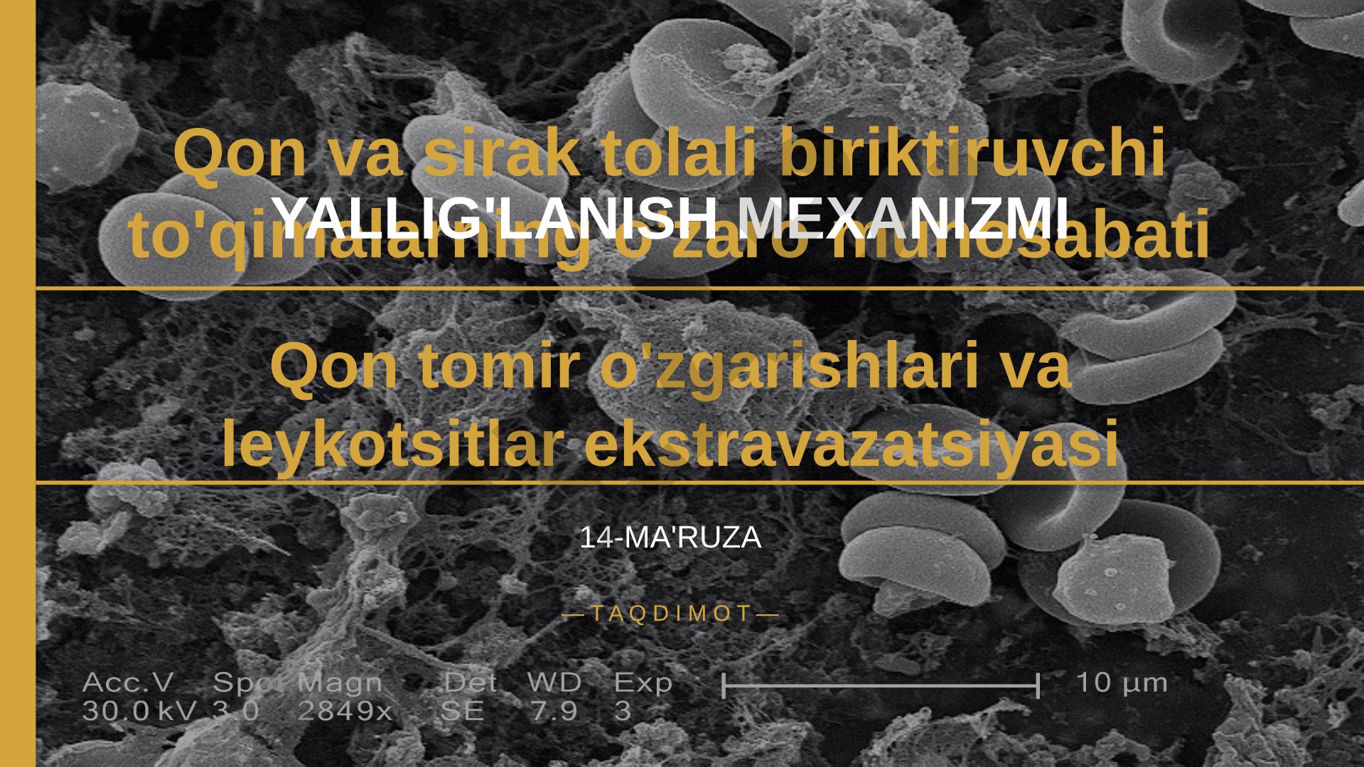 Yallig'lanish mexanizmi: qon va biriktiruvchi to'qimalarning o'zaro munosabati