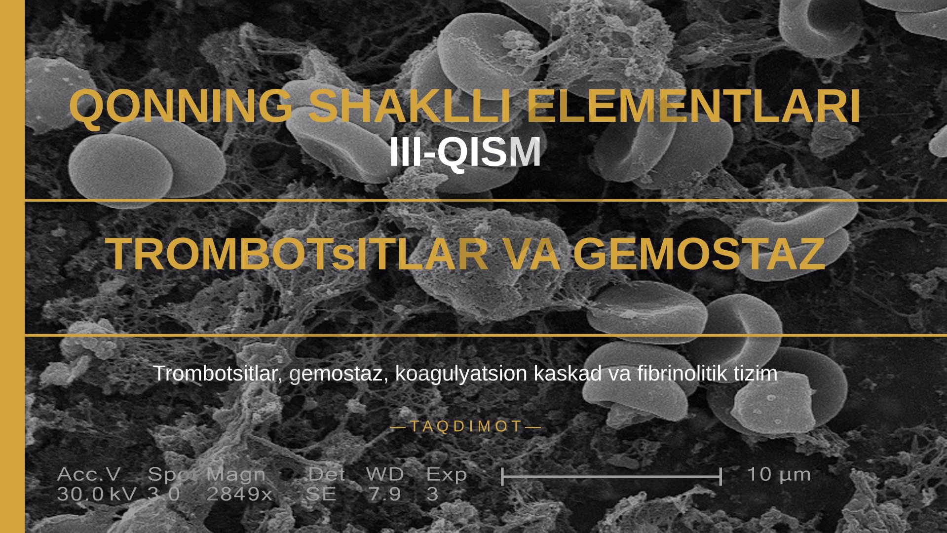 Qonning shaklli elementlari III-qism: Trombotsitlar va gemostaz