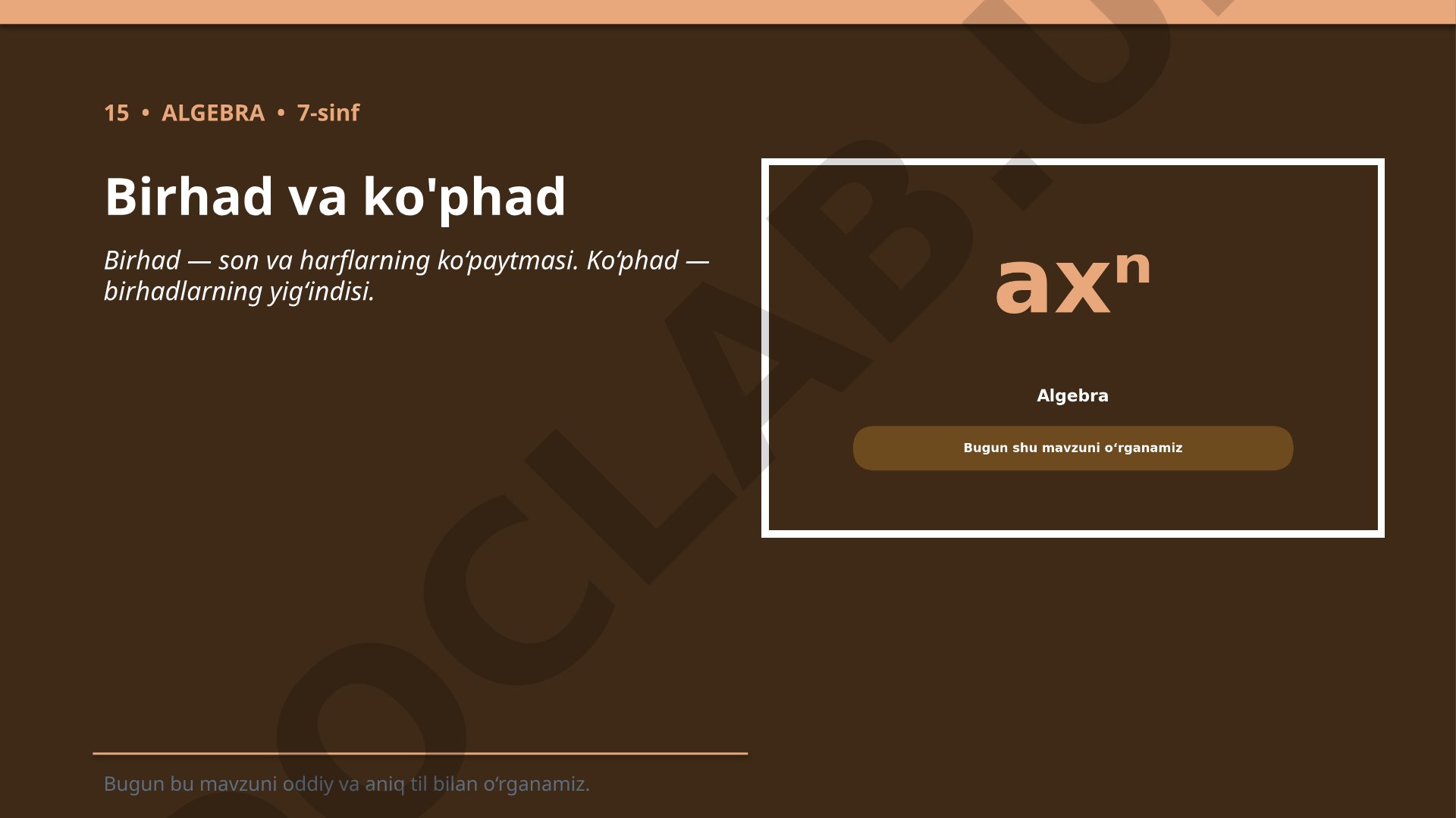 Birhad va ko'phad