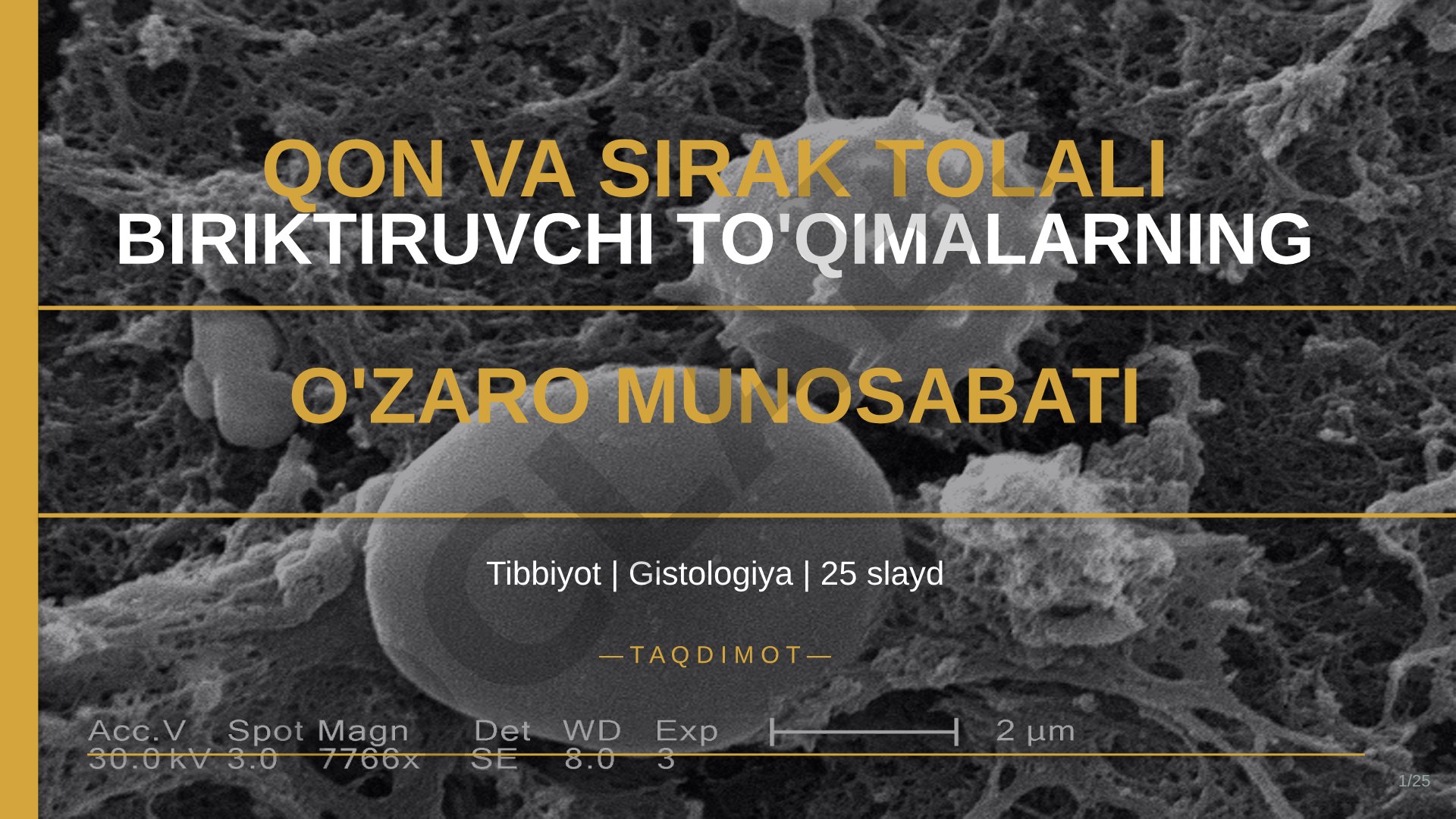 Qon va siyrak tolali biriktiruvchi to'qimalarning o'zaro munosabati