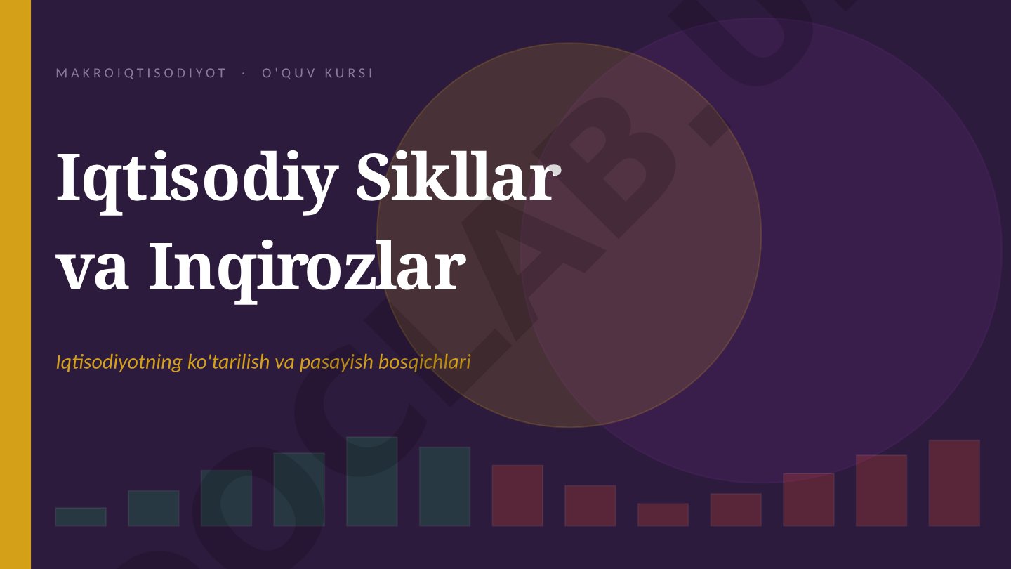 Iqtisodiy Sikllar va Inqirozlar