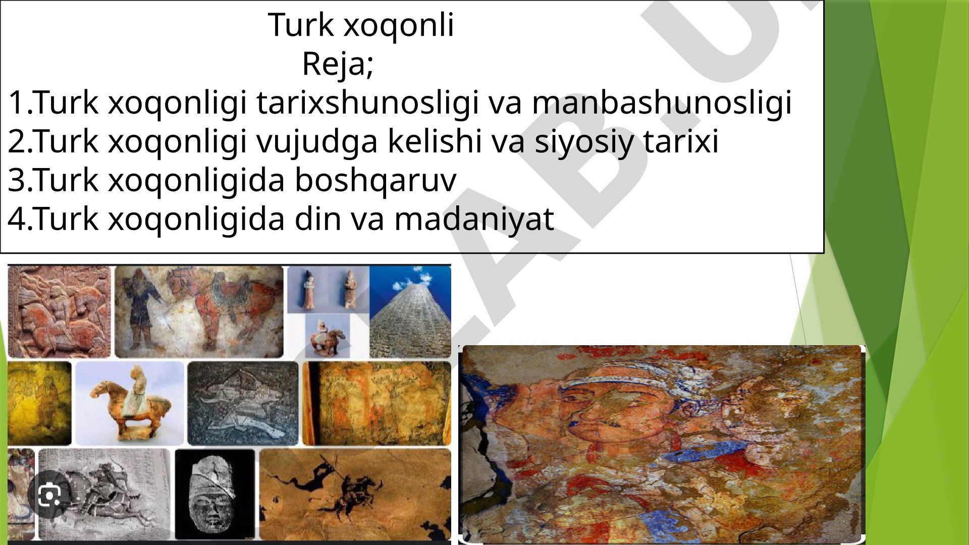 Tarix. Turk xoqonli