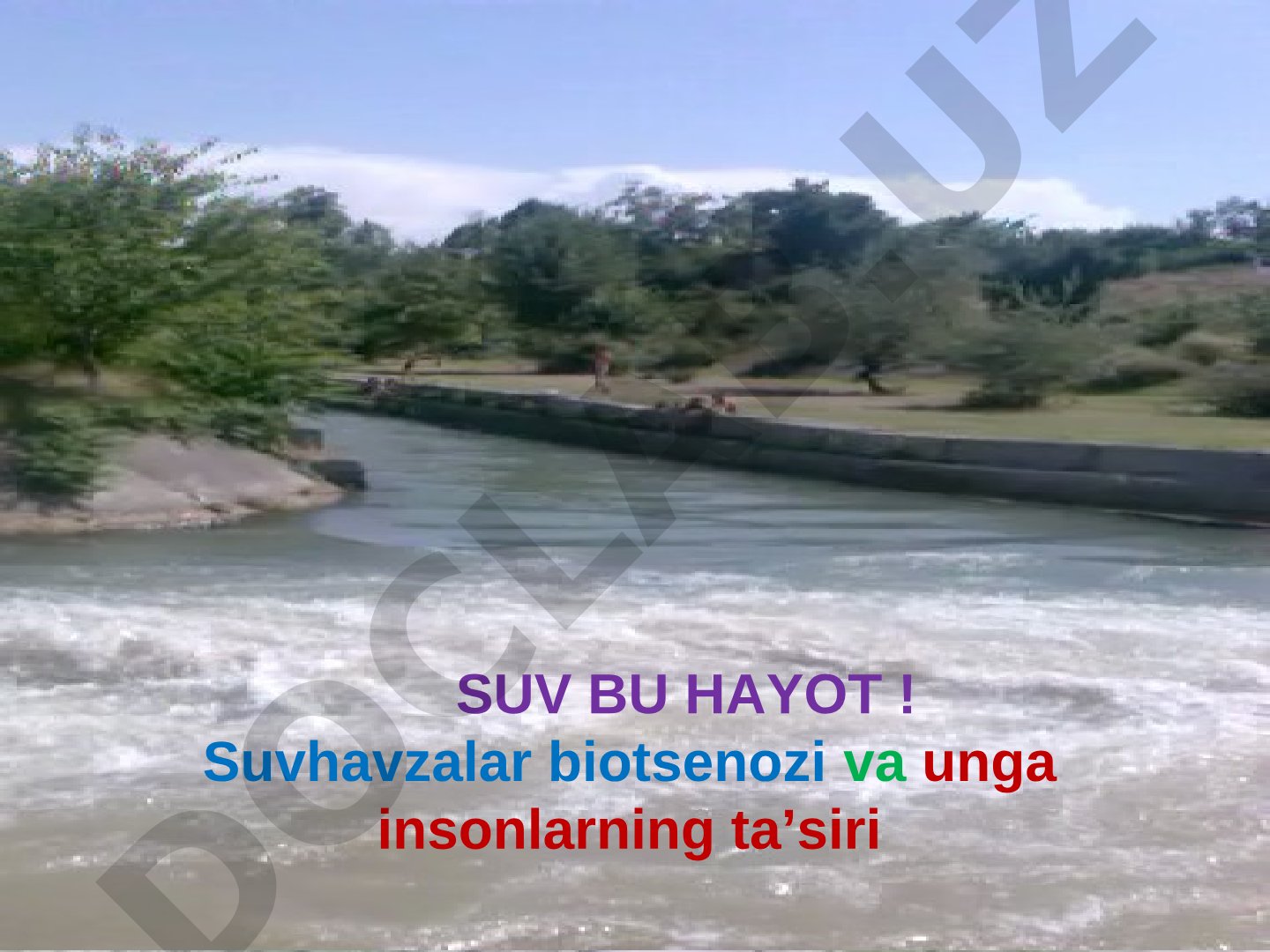 Suv havzalari biotsenozi va inson ta'siri