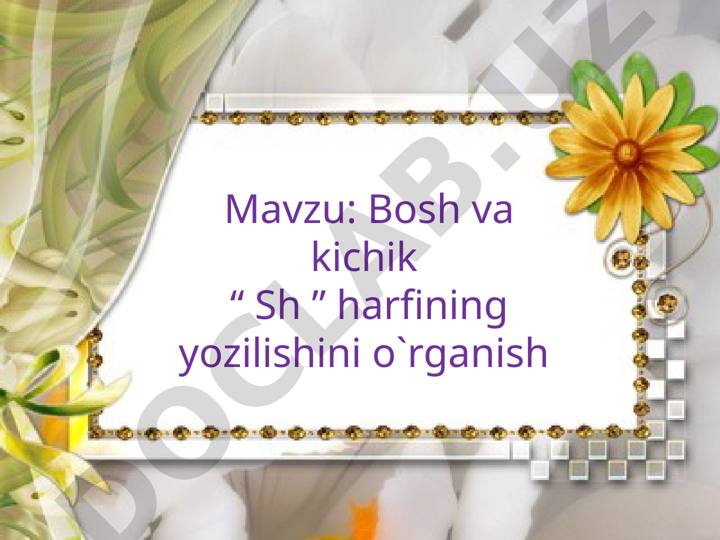 Bosh va kichik "Sh" harfining yozilishini o'rganish