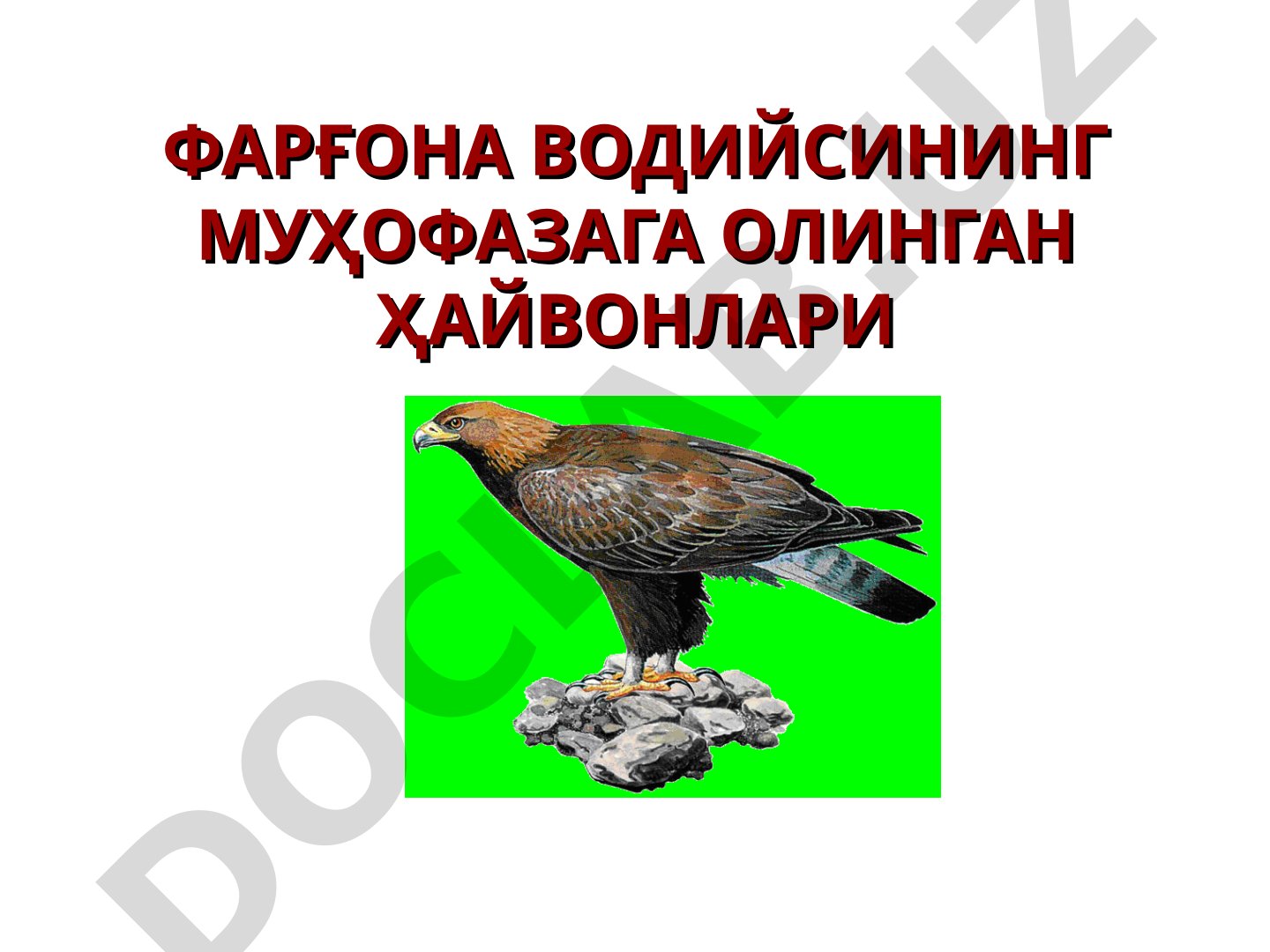 Фарғона водийсининг муҳофазага олинган ҳайвонлари