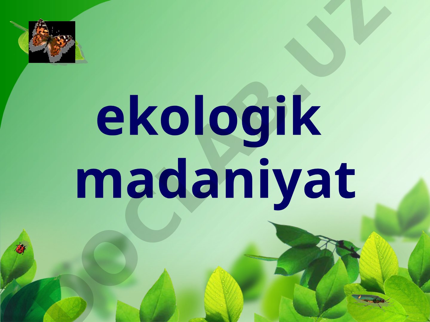 Ekologik madaniyat