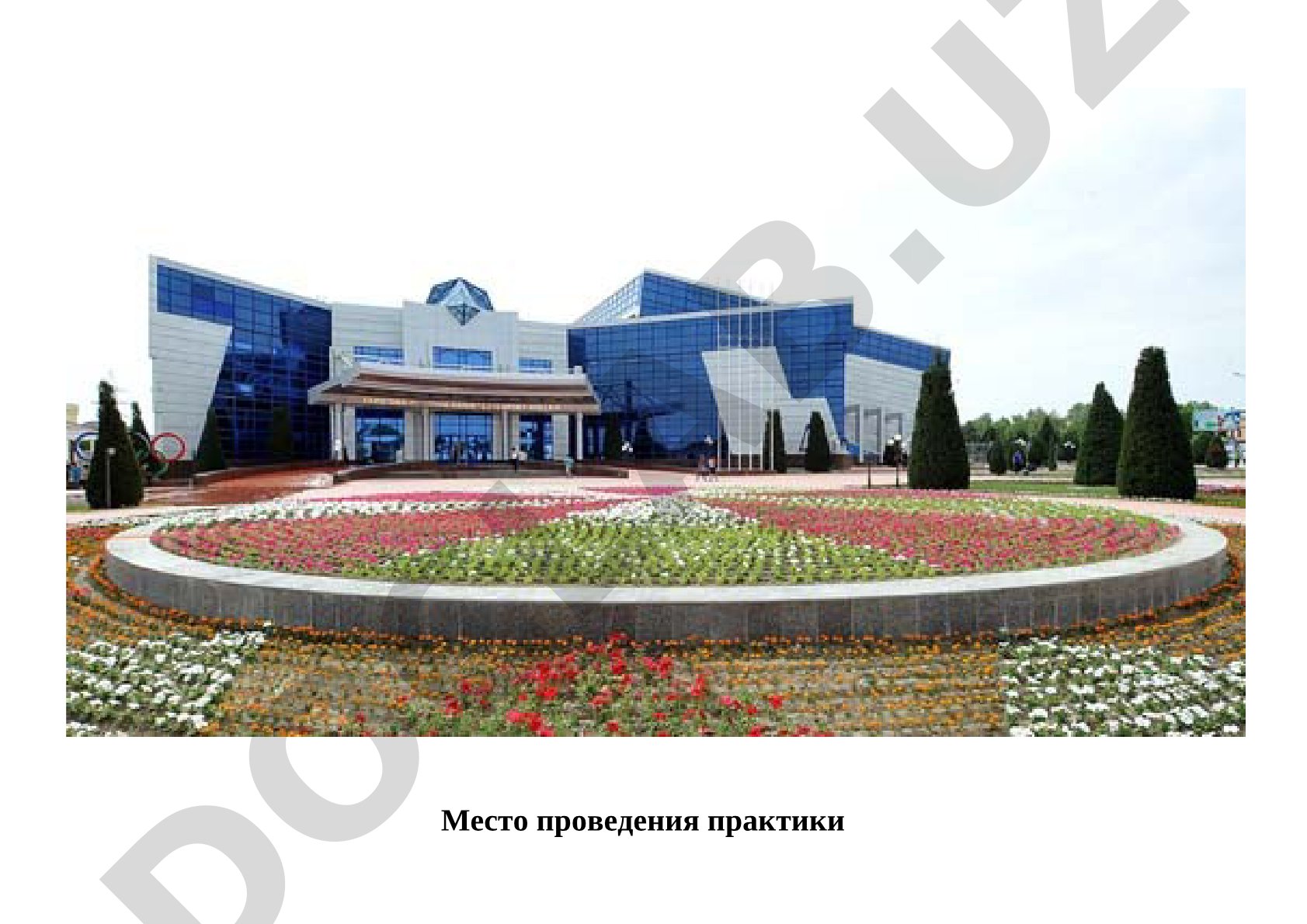 Место проведения практики